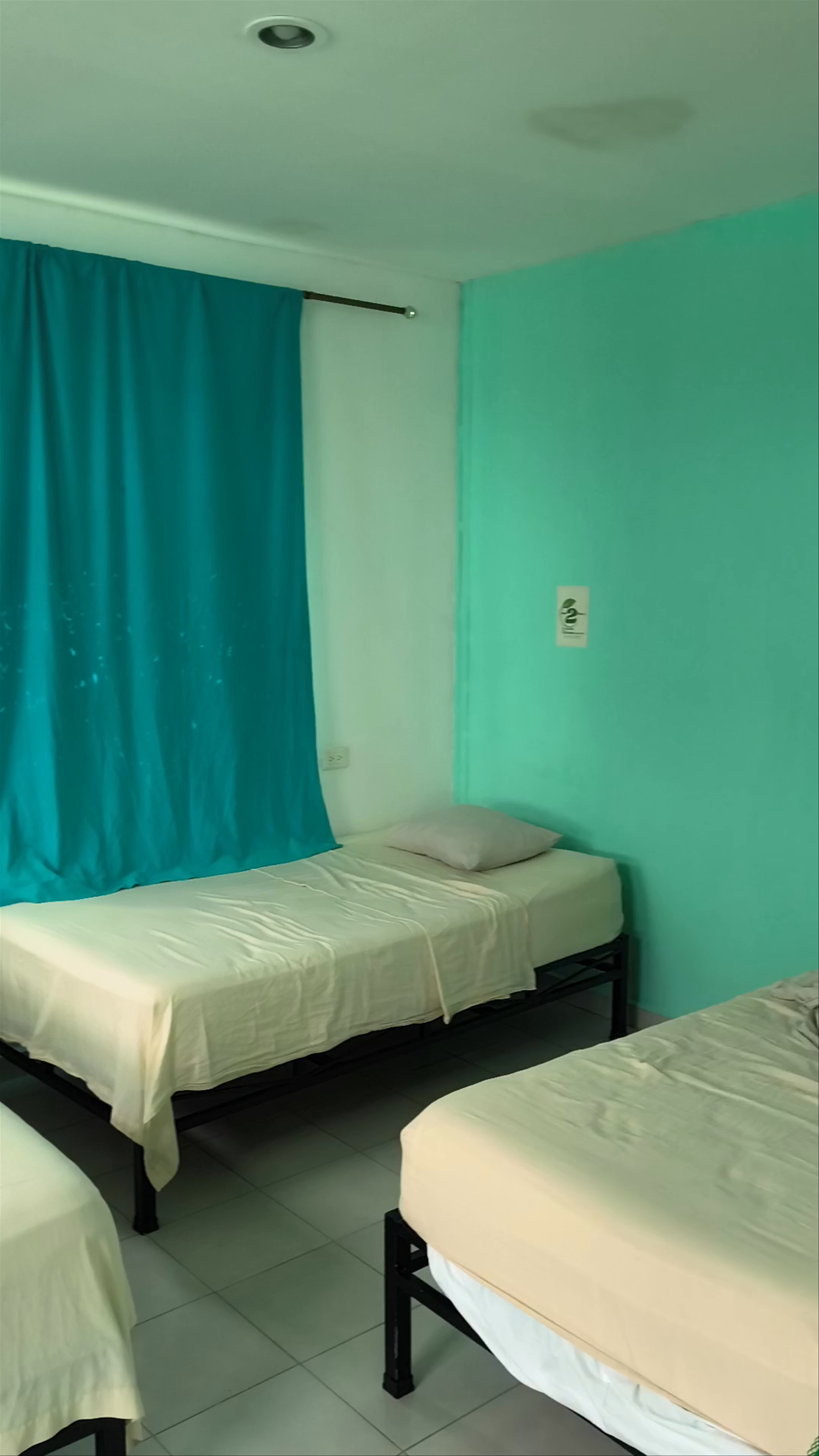 Cozy Budget Stay at Posada Nachan in Palenque, Chiapas