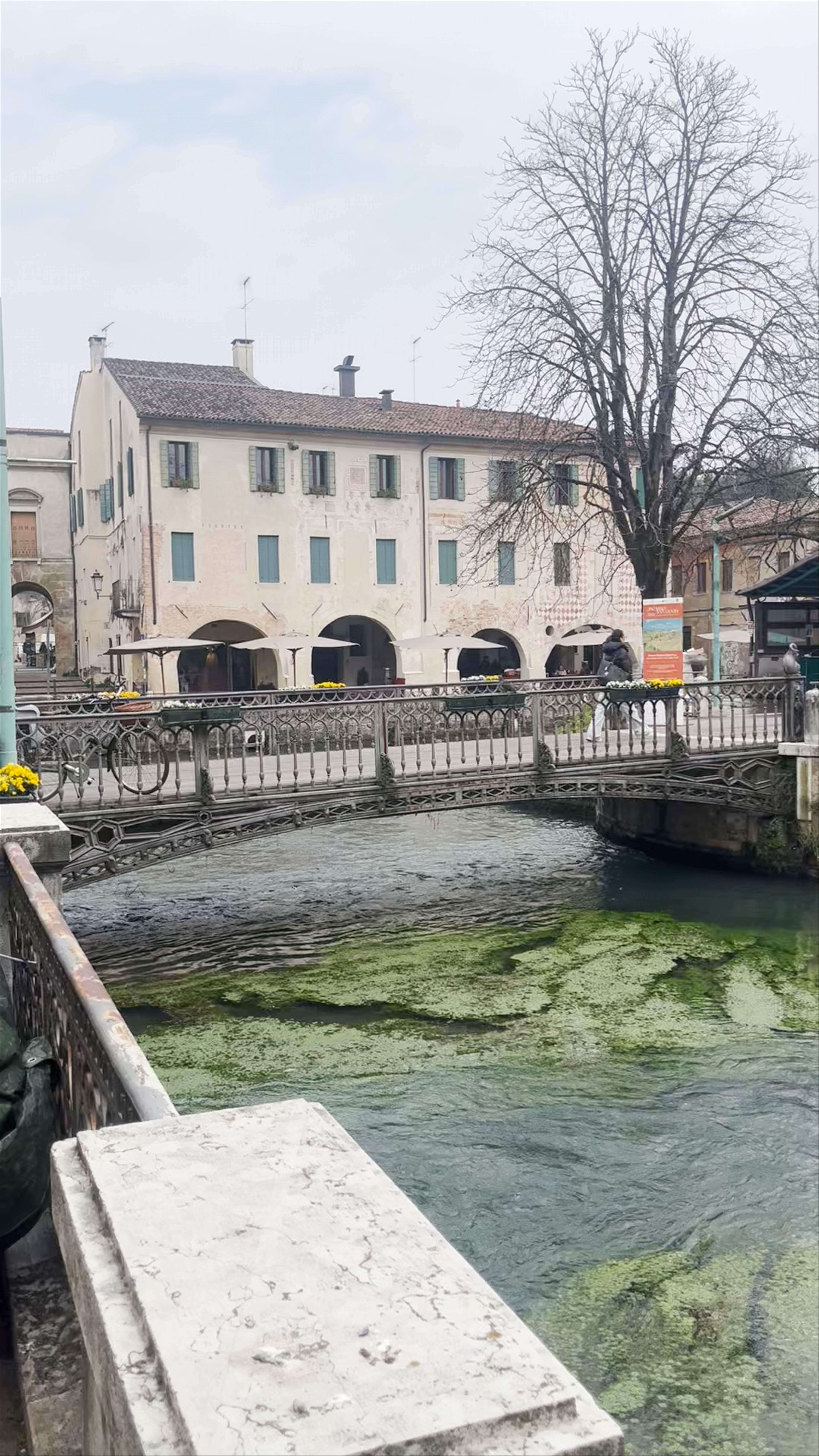 Discover Treviso’s Iconic Waterways and Hidden Mermaid Statue