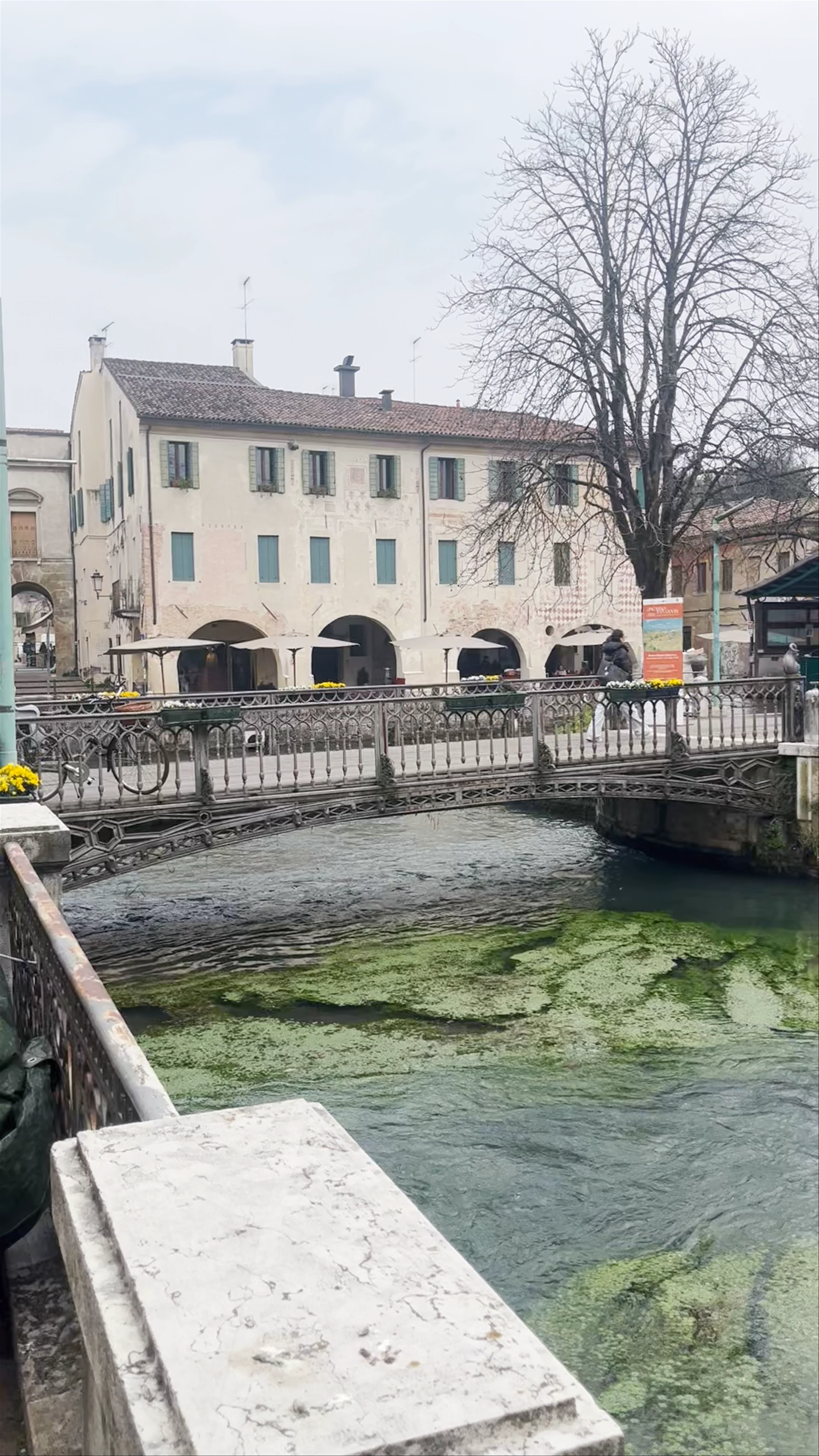 Statua della Sirenetta, Vicolo Spineda, Treviso