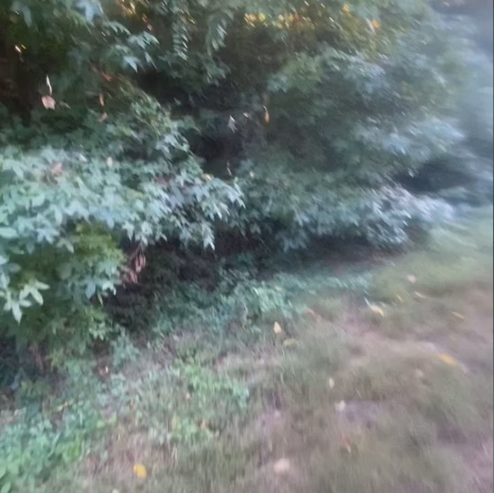 JJP Scenery Solutions - Transformation - Landscaping Near Me