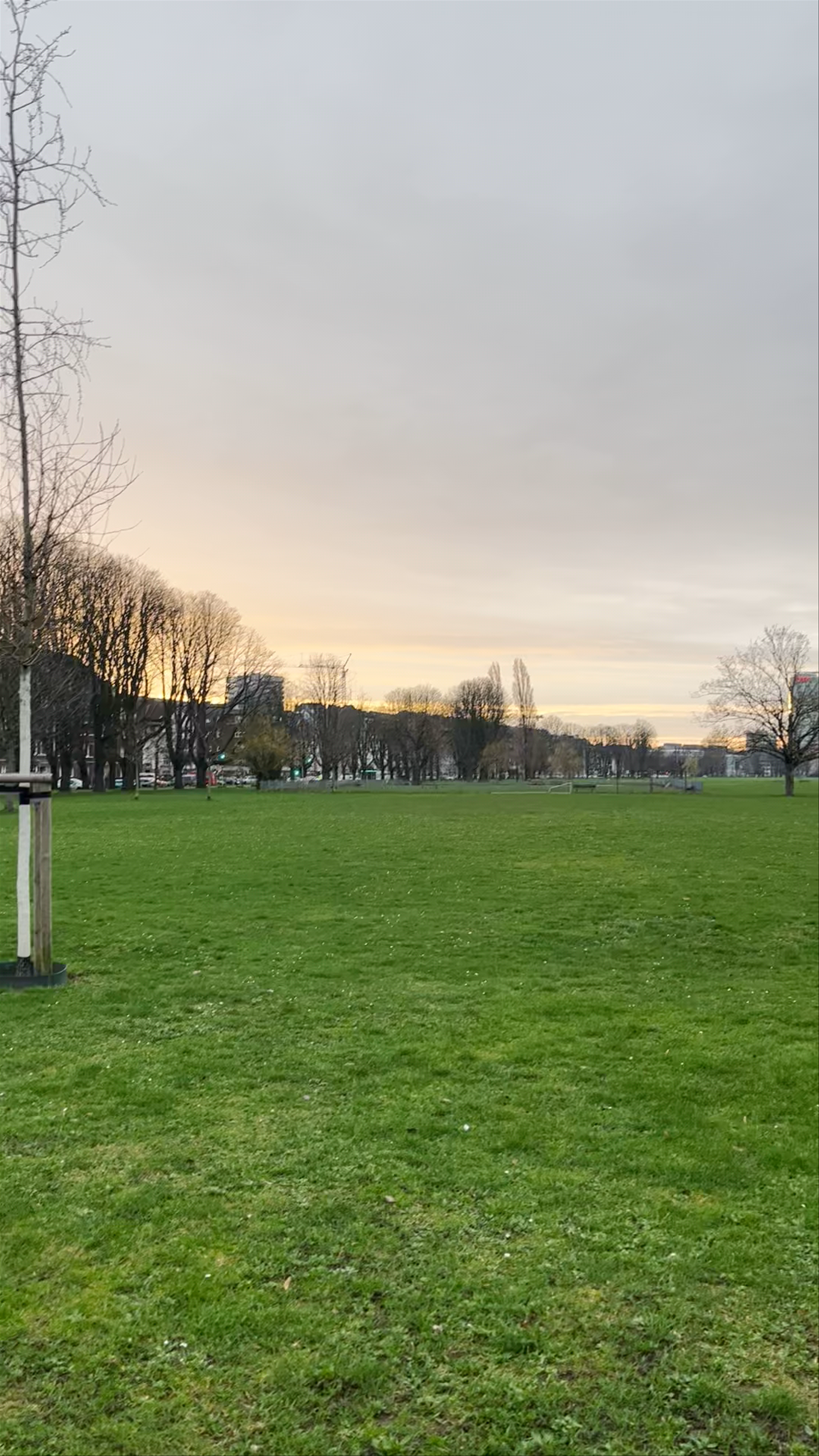 Hundewiese Rheinpark