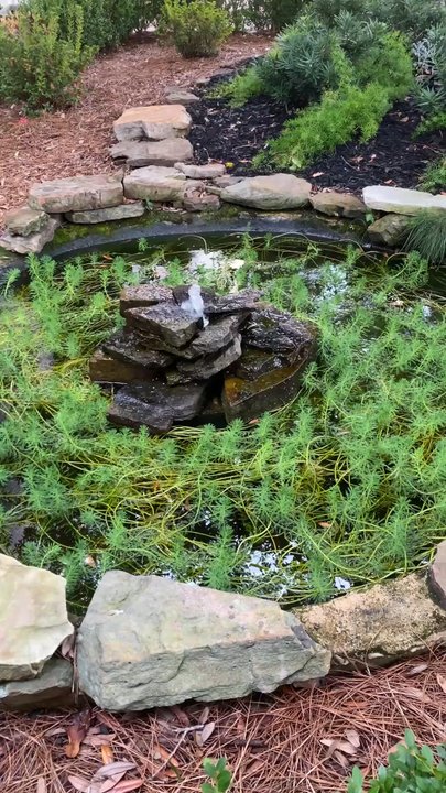 Old Capitol Inn - Water features, bridge, courtyard - Hotels Near Me - Jackson, Mississippi