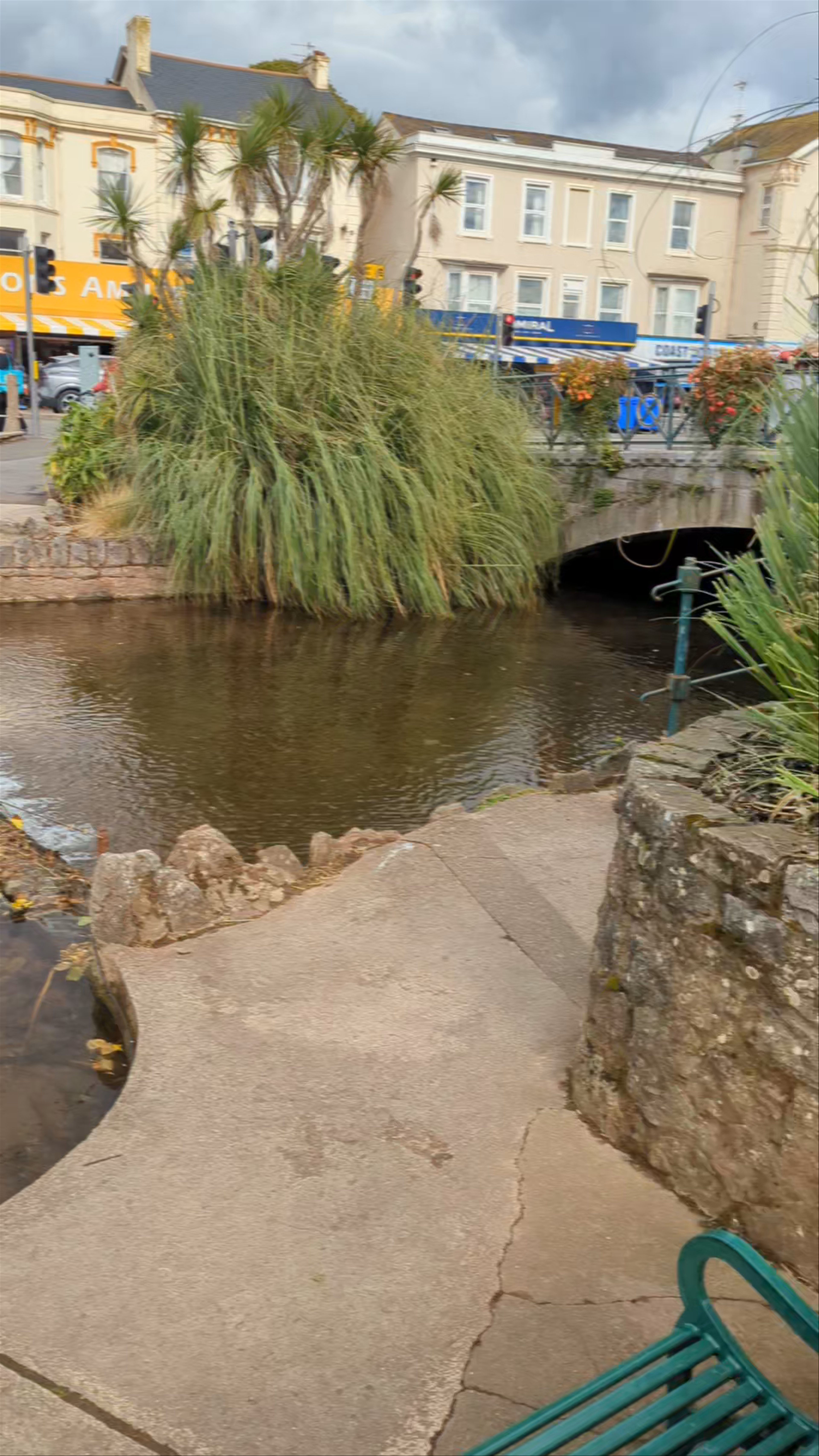 Serene Walk Along Dawlish Water in Dawlish, UK