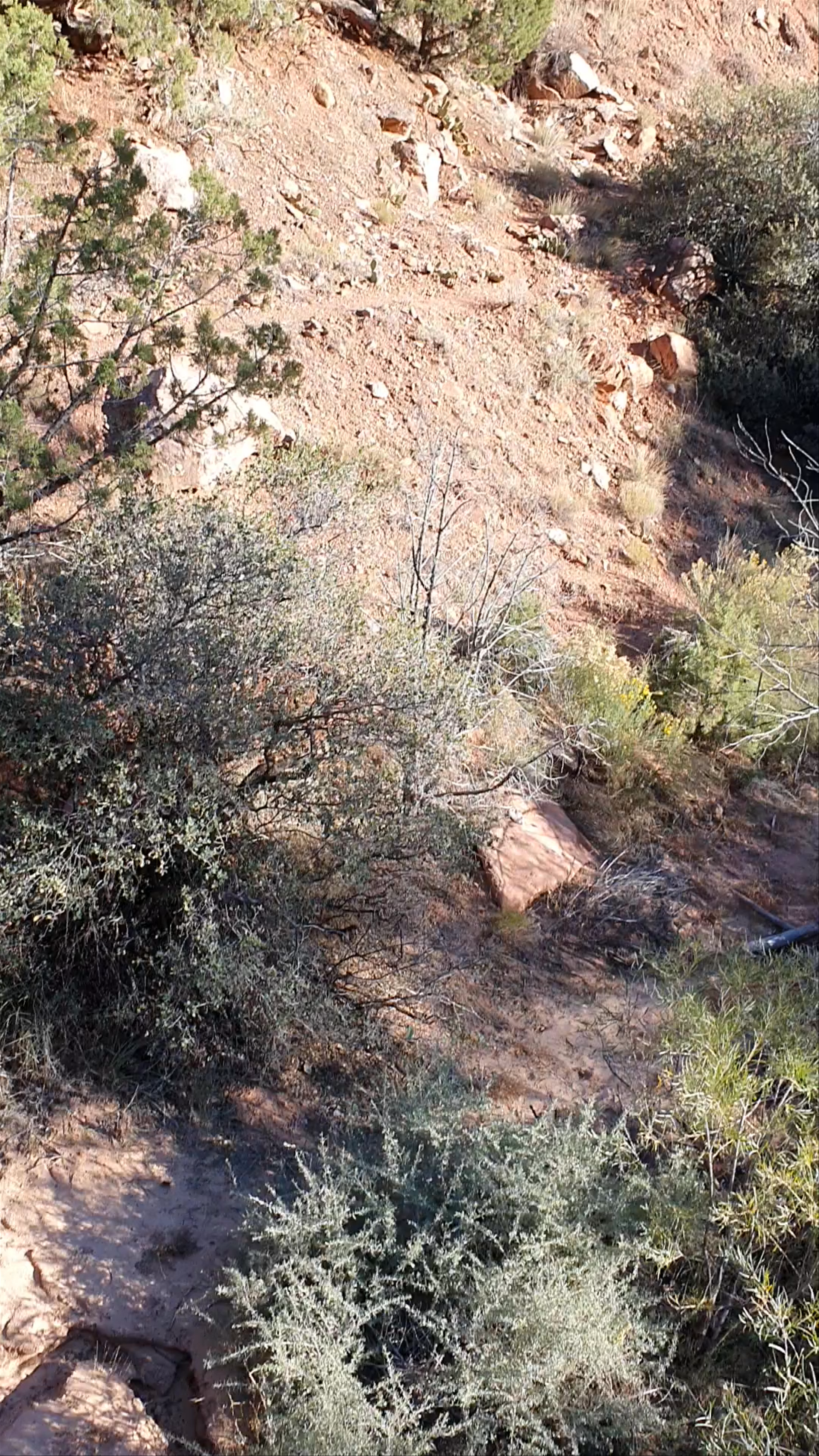 Pa'rus Trail Zion National Park