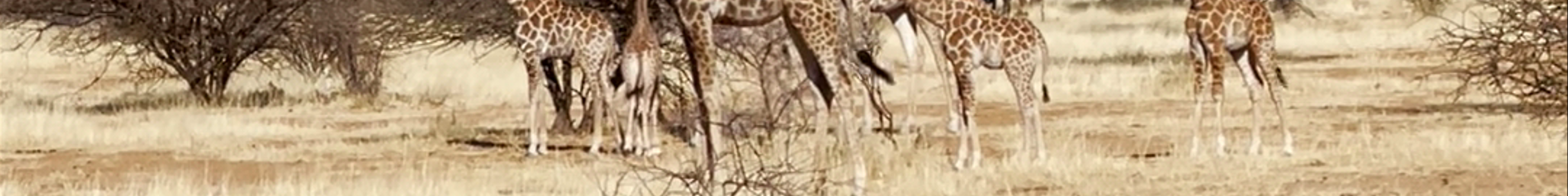 Tours & experiences in Okahandja