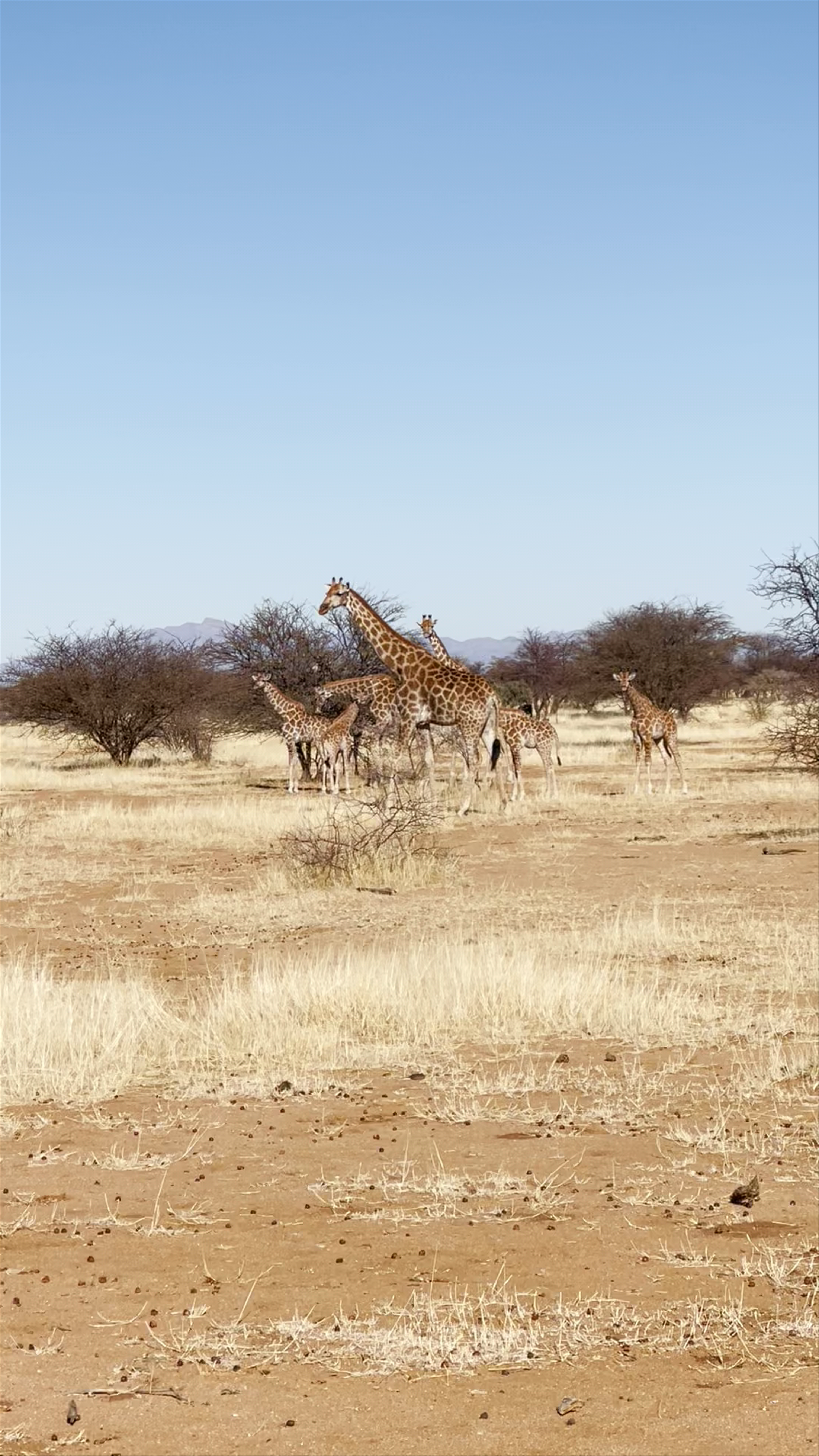 Erindi Private Game Reserve