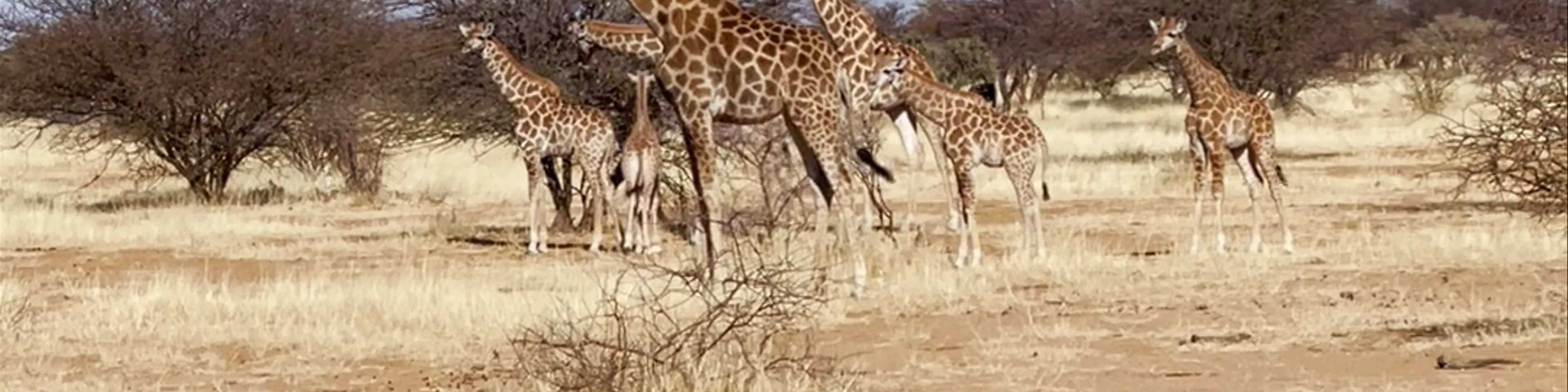 Erindi Private Game Reserve