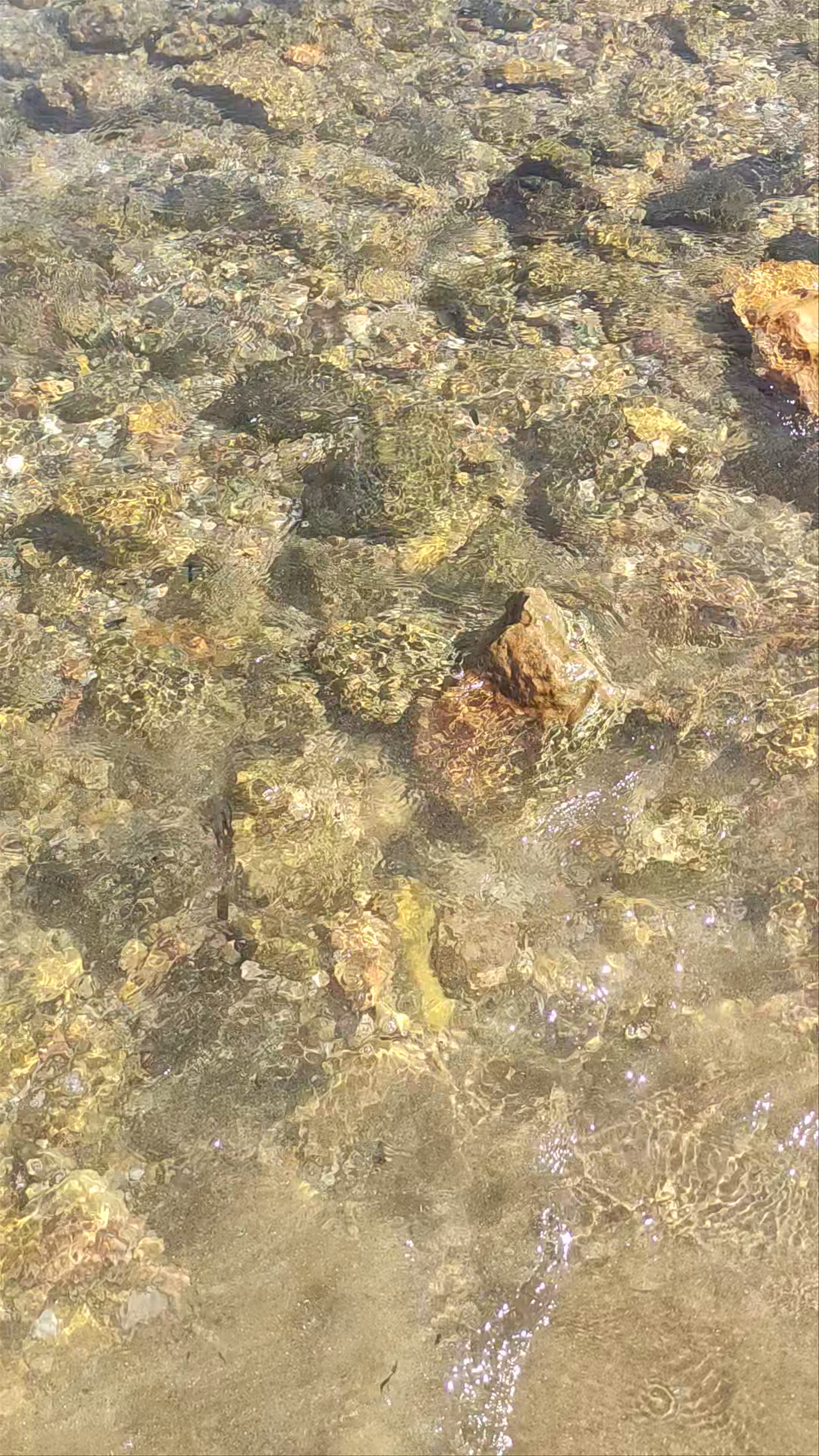 Peaceful Rocky Shoreline at Las Salinas, Mazarrón