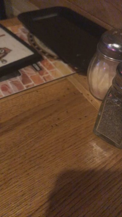 The Other Place - The food was good and drinks are cheap but ants EVERYWHERE. This was after I ate. I'm disgusted... I don't usually leave bad reviews but - American Near Me - Olathe, Kansas