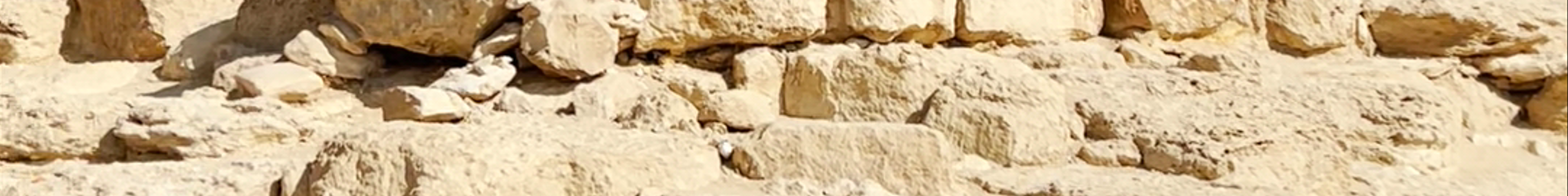 Tours & experiences in Egypt