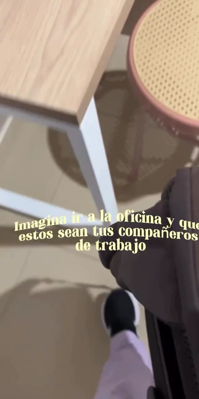 Contenido del creador