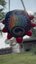 Small image 8