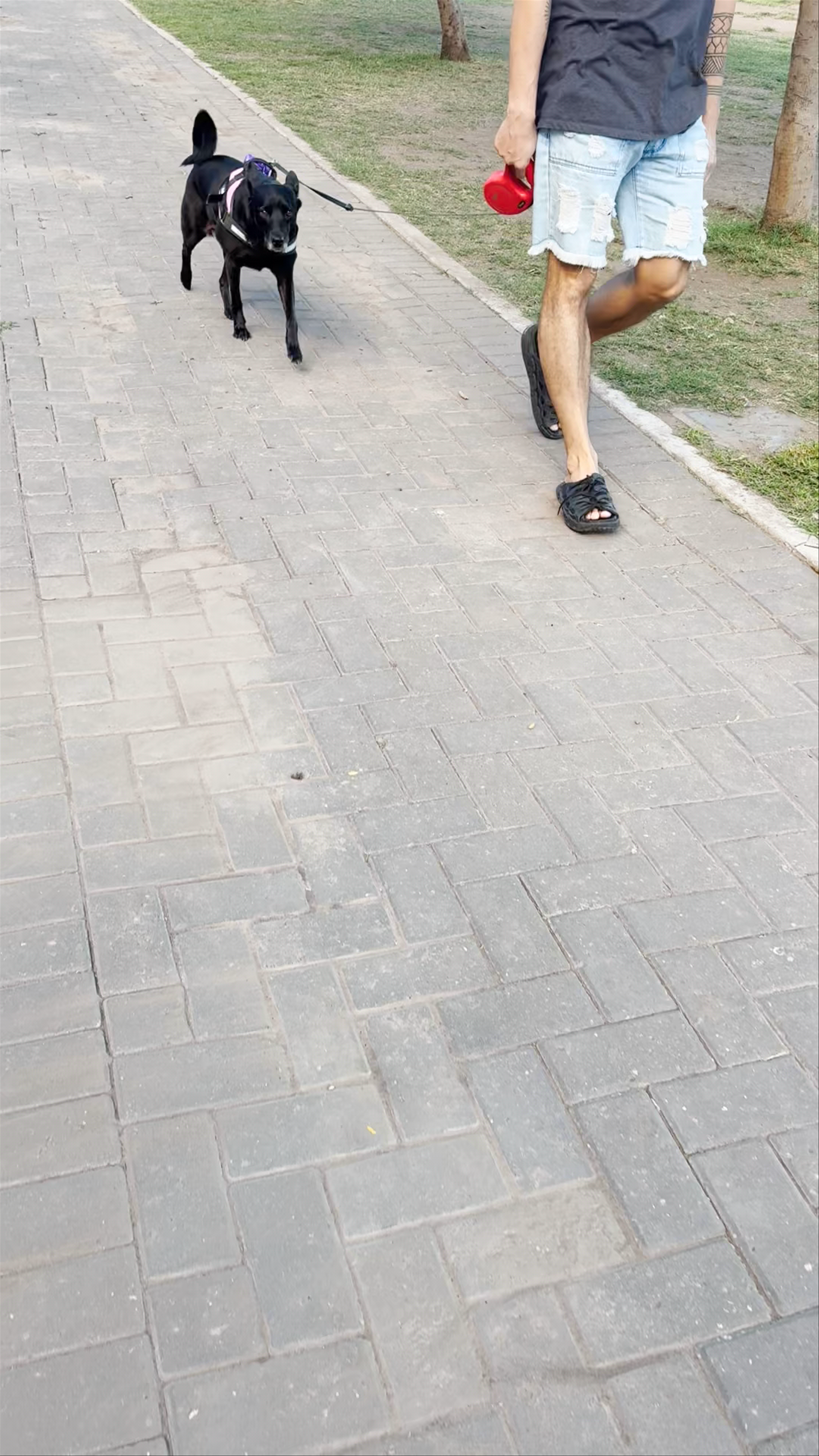 Parque Ferroviario Palermo