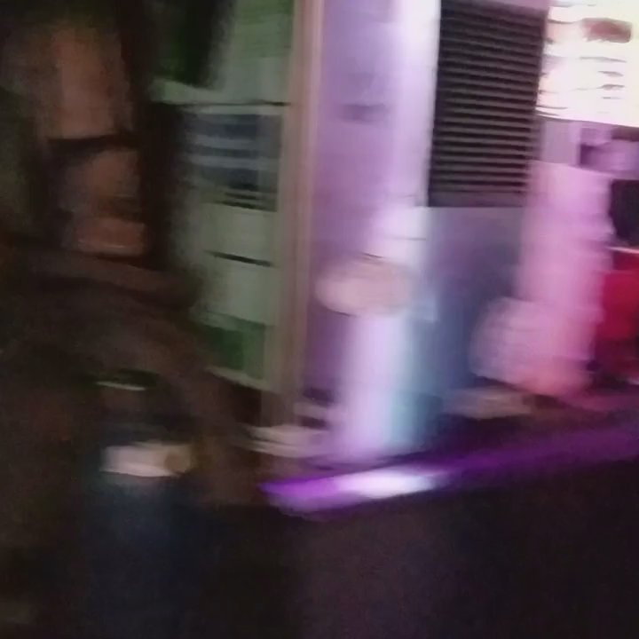 Balls - Partied like a rock star people!!! - Dive Bars Near Me - Gainesville, Florida