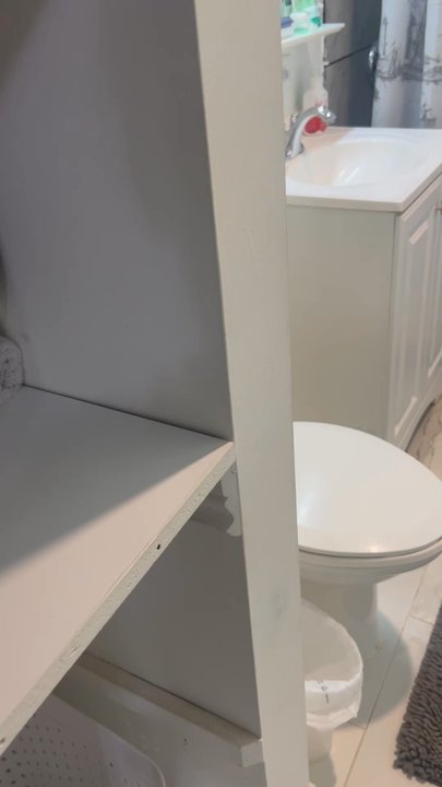 Dama’s Services - Home Cleaning Near Me - Downers Grove, Illinois