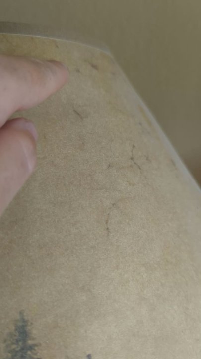 Three Bears Resort, Ascend Hotel Collection - dust on lampshade - Hotels Near Me - Warrens, Wisconsin
