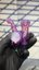 Small image 7