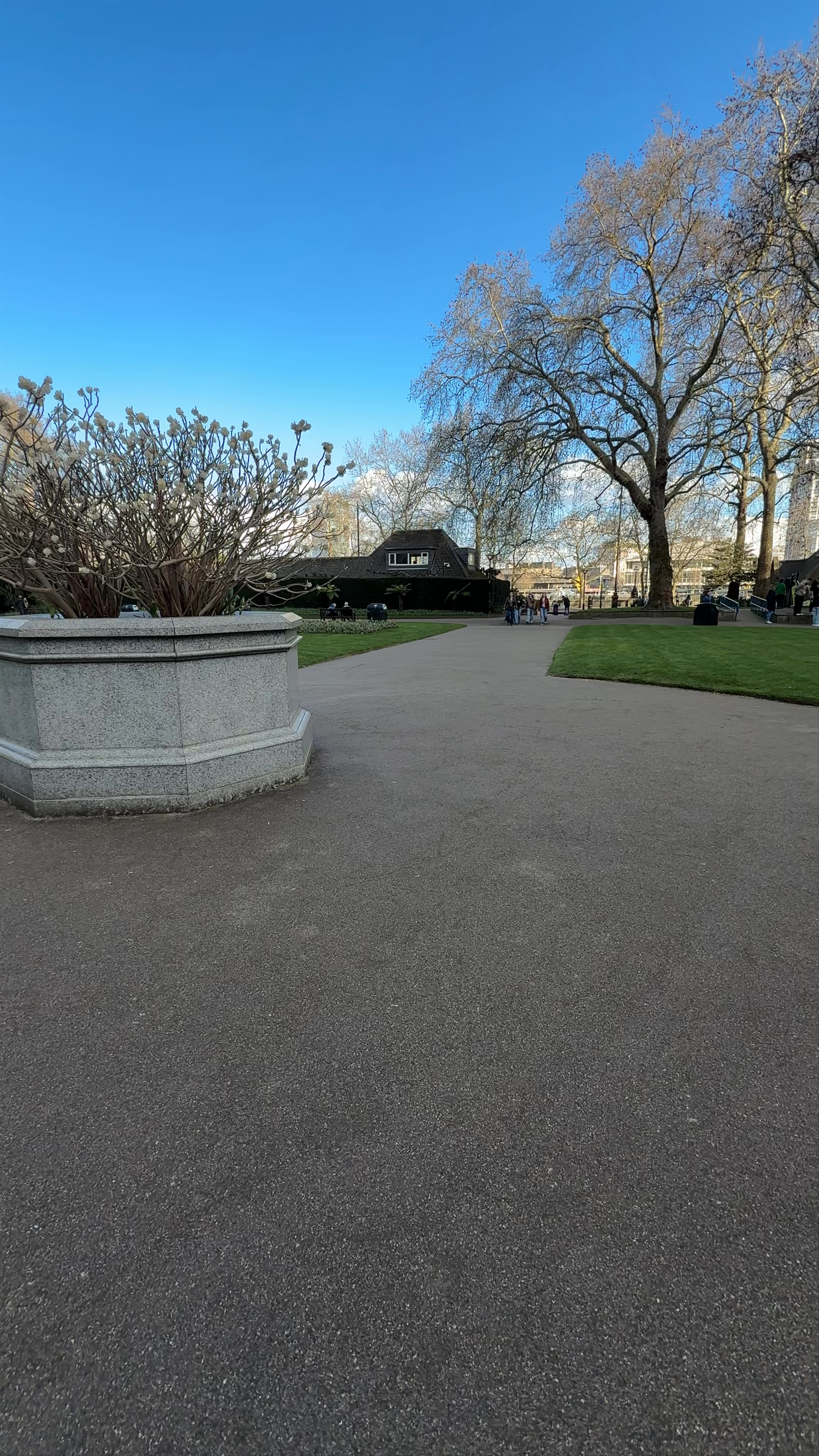 Spring Stroll Through Victoria Embankment Gardens, London