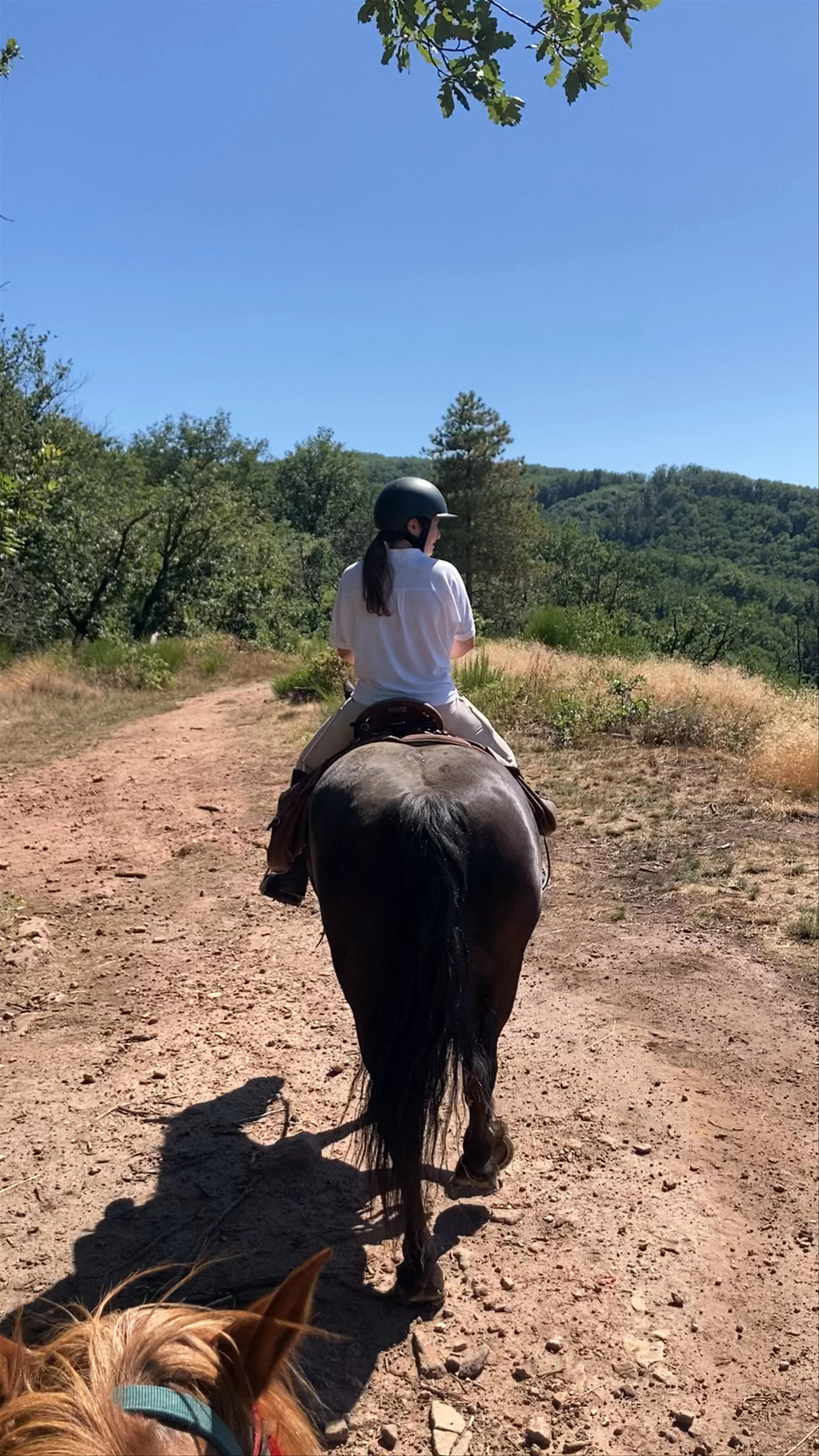 A CHEVAL RANDO LIBRE, Route de Saint-Hilaire