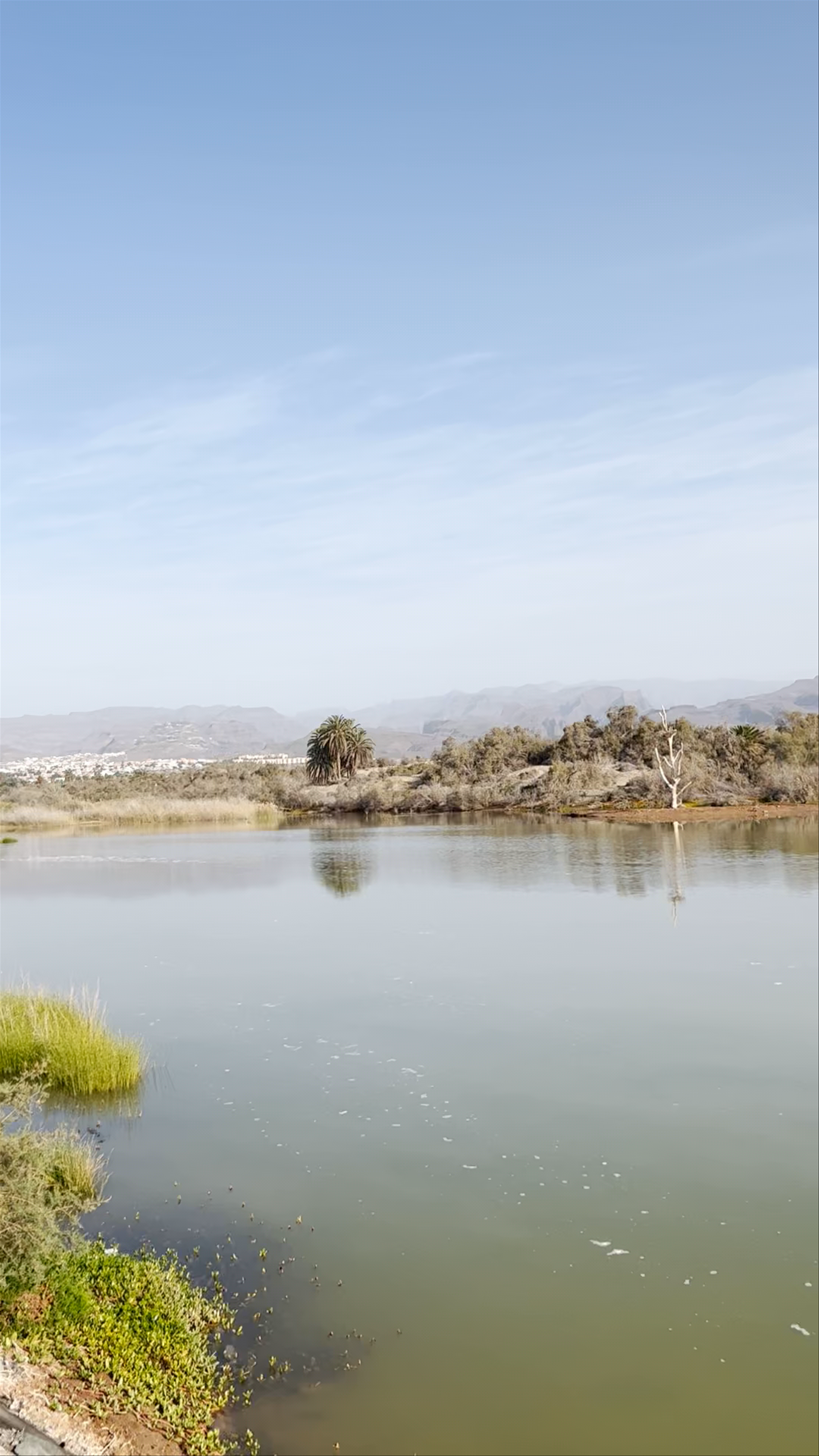 La Charca de Maspalomas