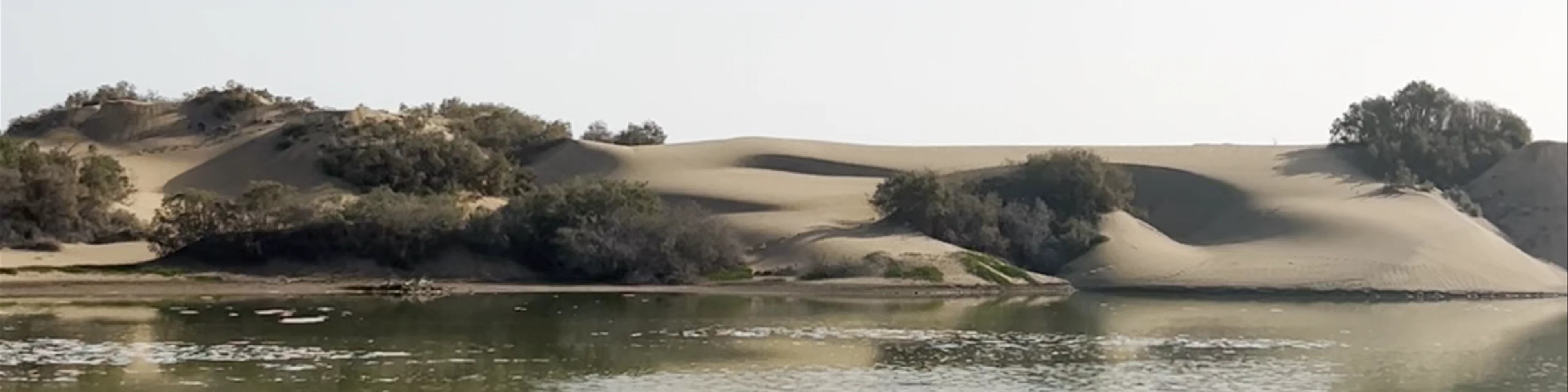 La Charca de Maspalomas