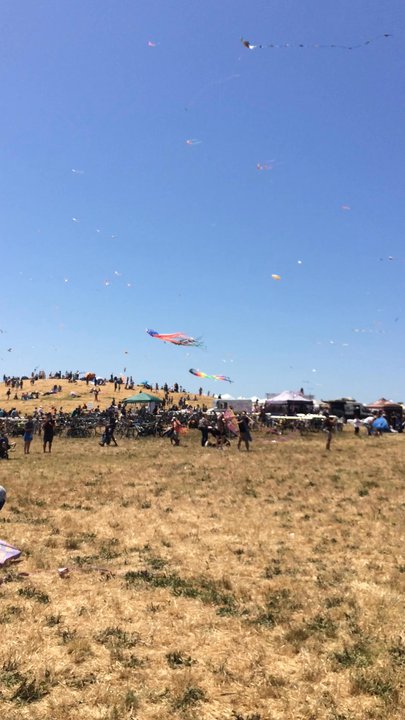 Berkeley Kite Festival - Annual Kite Festival at Cesar E Chavez Park, Berkeley, CA 94701 - Festivals Near Me - Berkeley, California