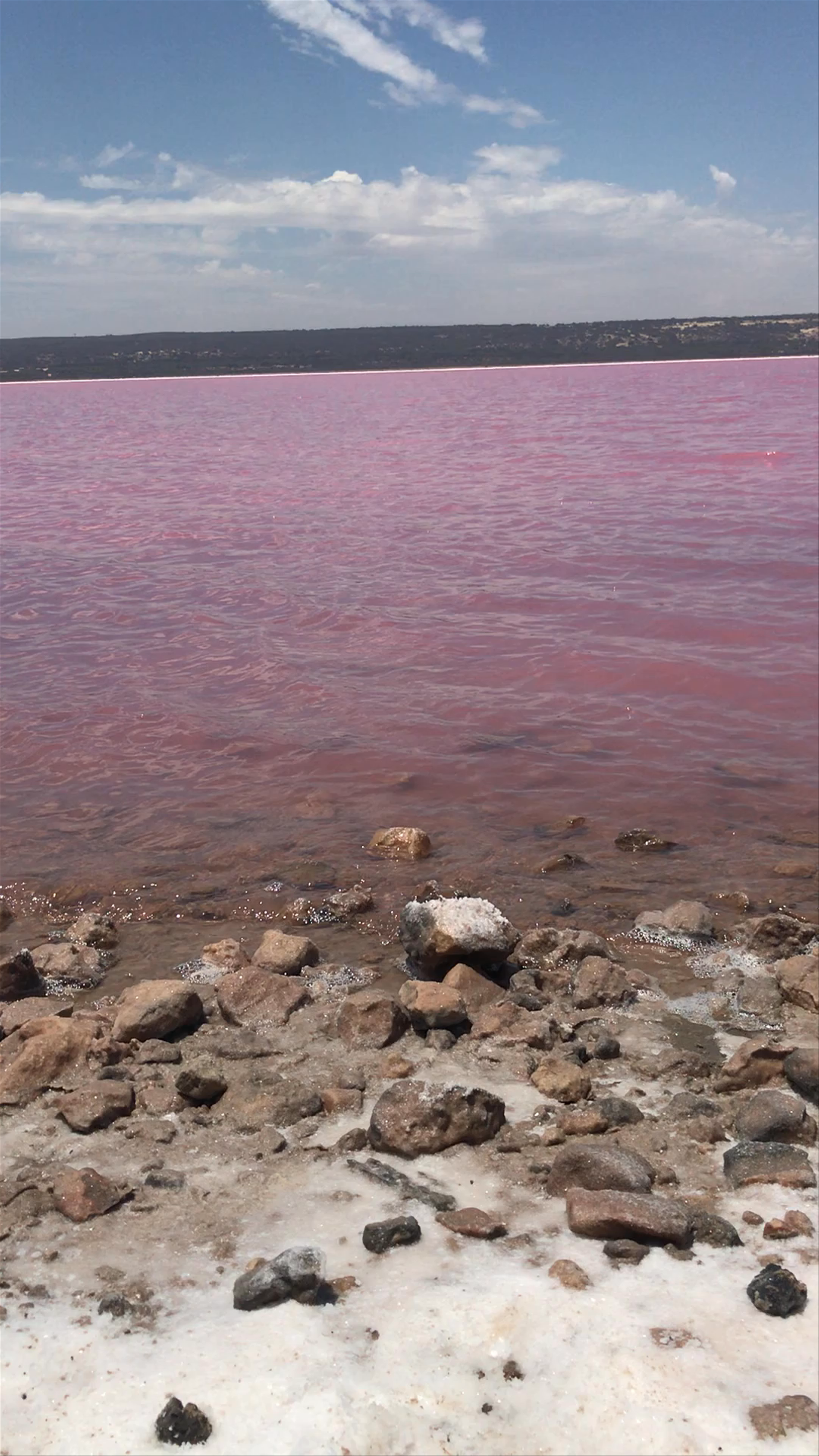 Hutt Lagoon Pink Lake: Nature's Stunning Pink Saltwater Wonder in Western Australia