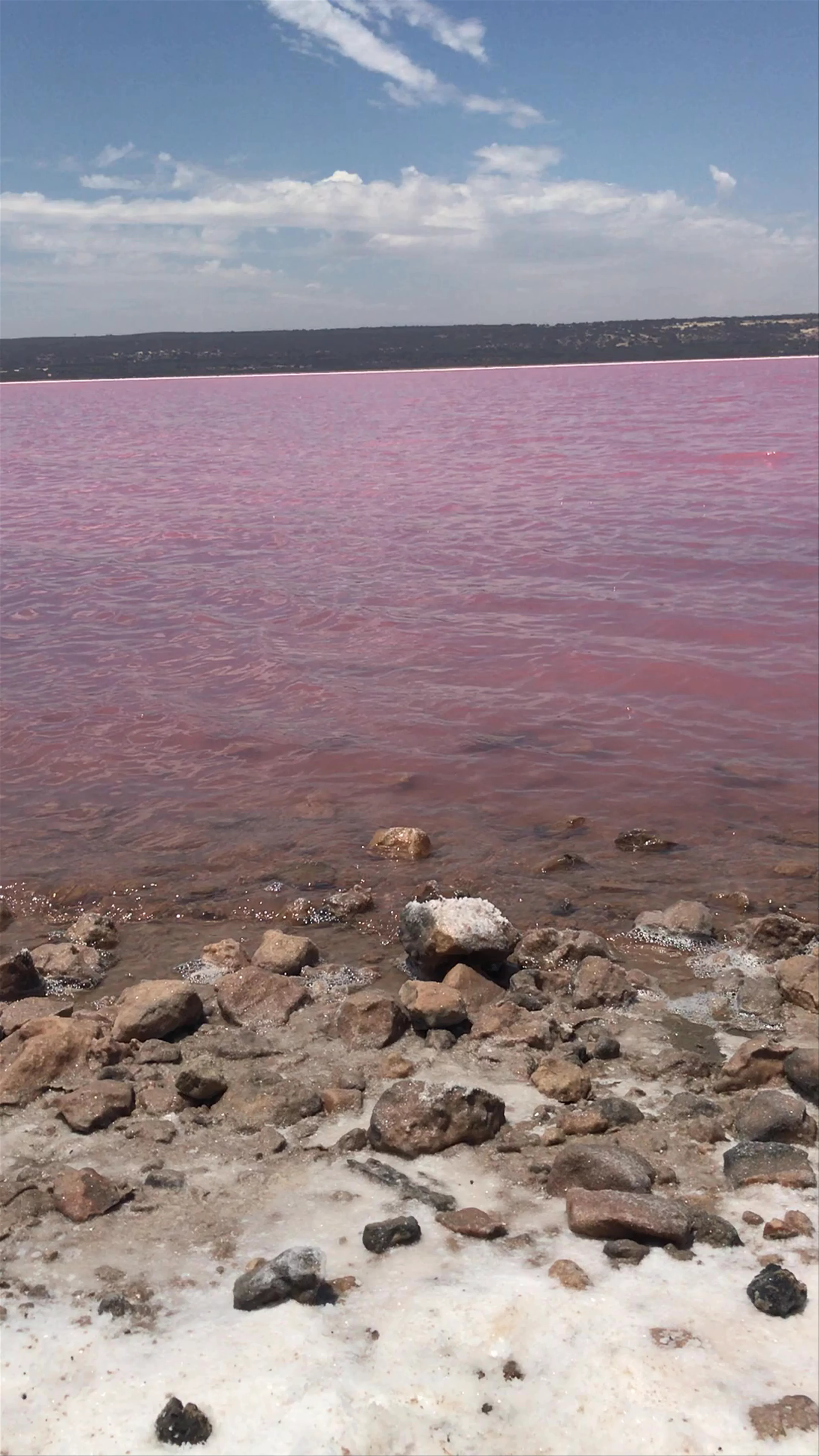 Hutt Lagoon Pink Lake, George Grey Drive, Yallabatharra WA, Australia