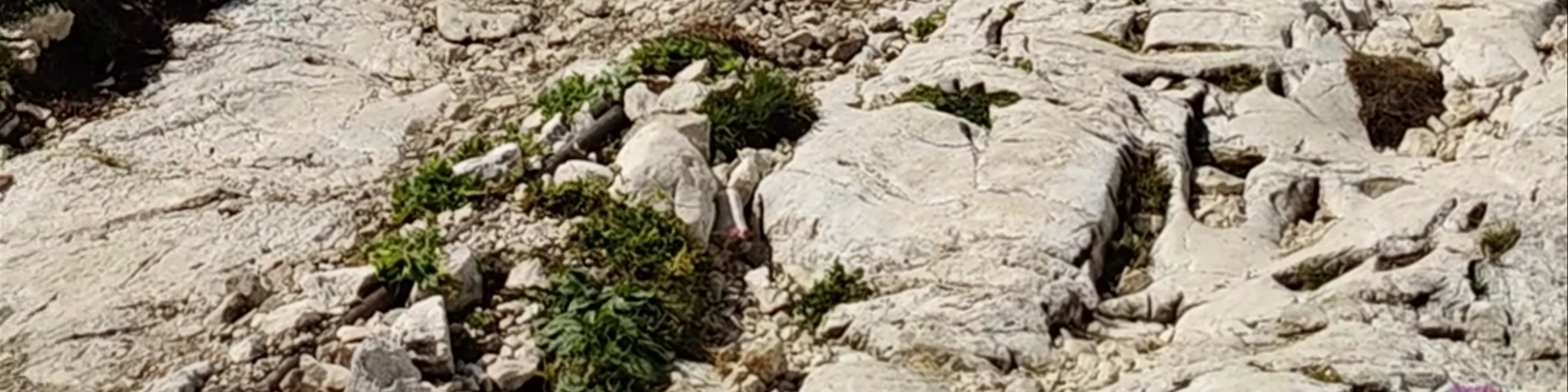 Rifugio Zsigmondy-Comici