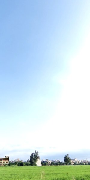 Photo of Displaying the beaut