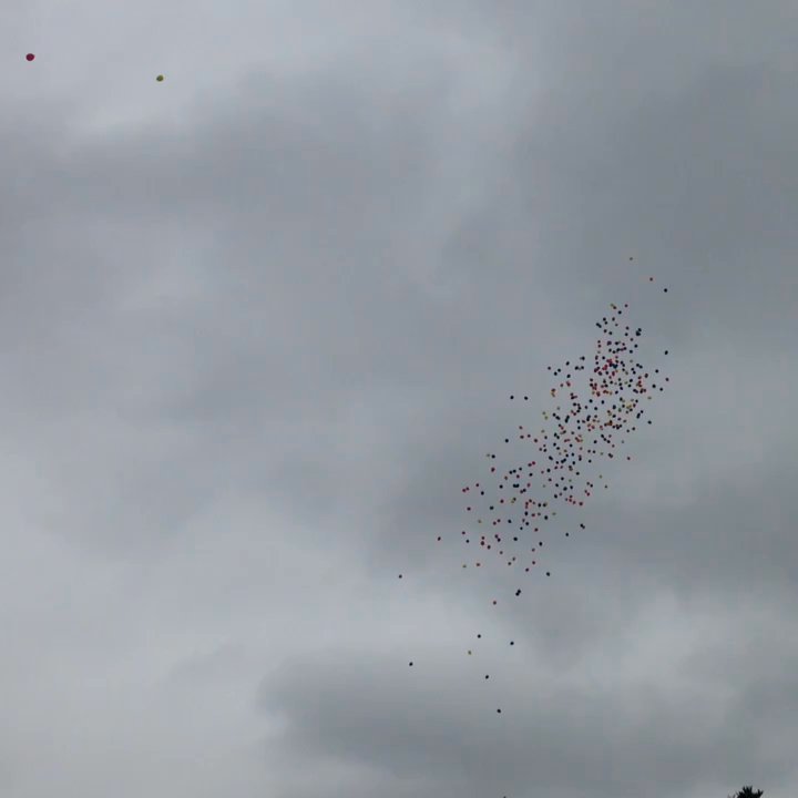 Cabrera's Balloons - Balloon Release for a graduation in Van Nuys, CA - Balloon Services Near Me - Van Nuys, California