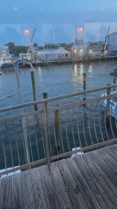 Sea Rocket - Sharks harbor cafe - Rafting/Kayaking Near Me - Ocean City, Maryland