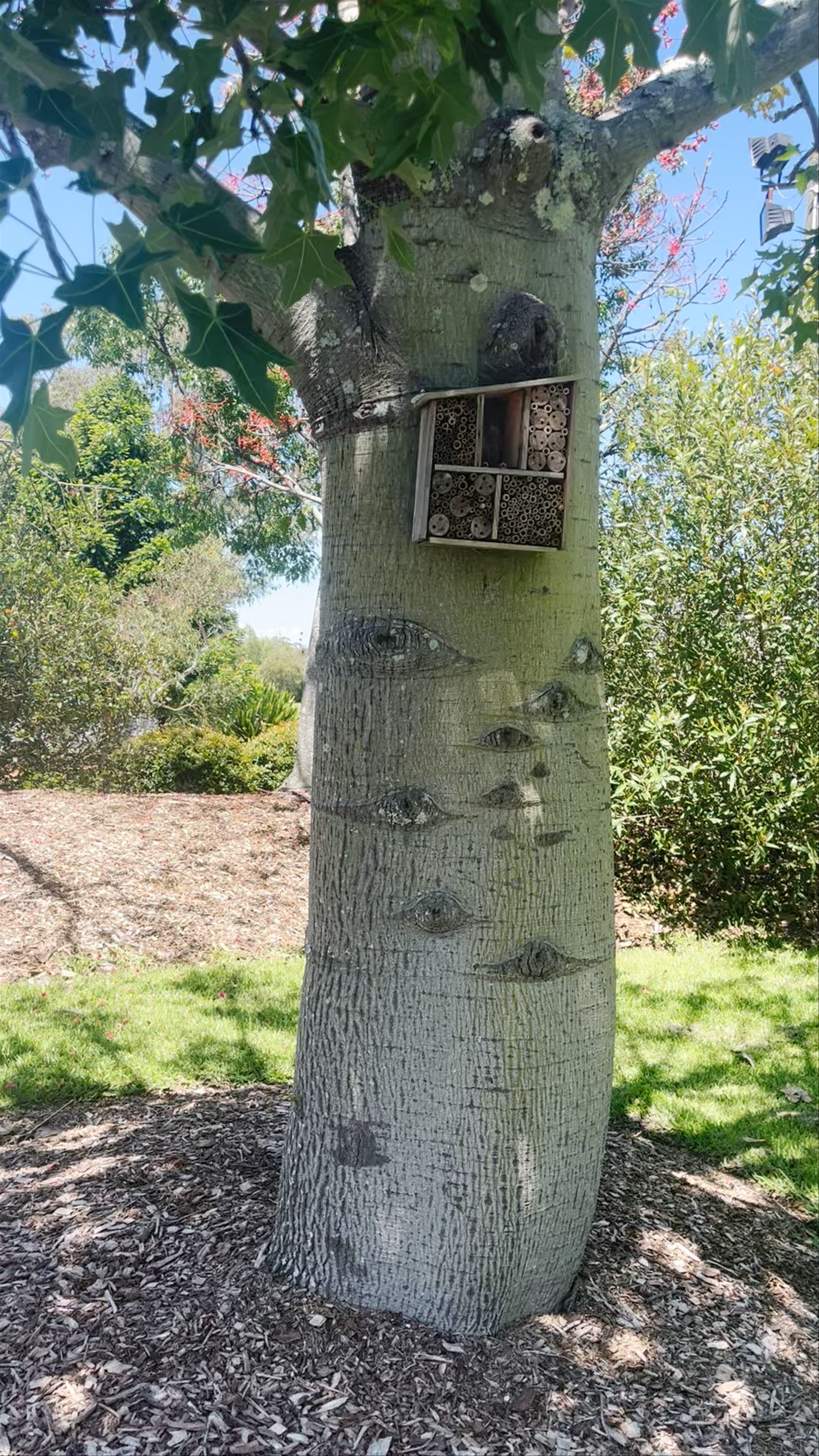 Mount Penang Gardens