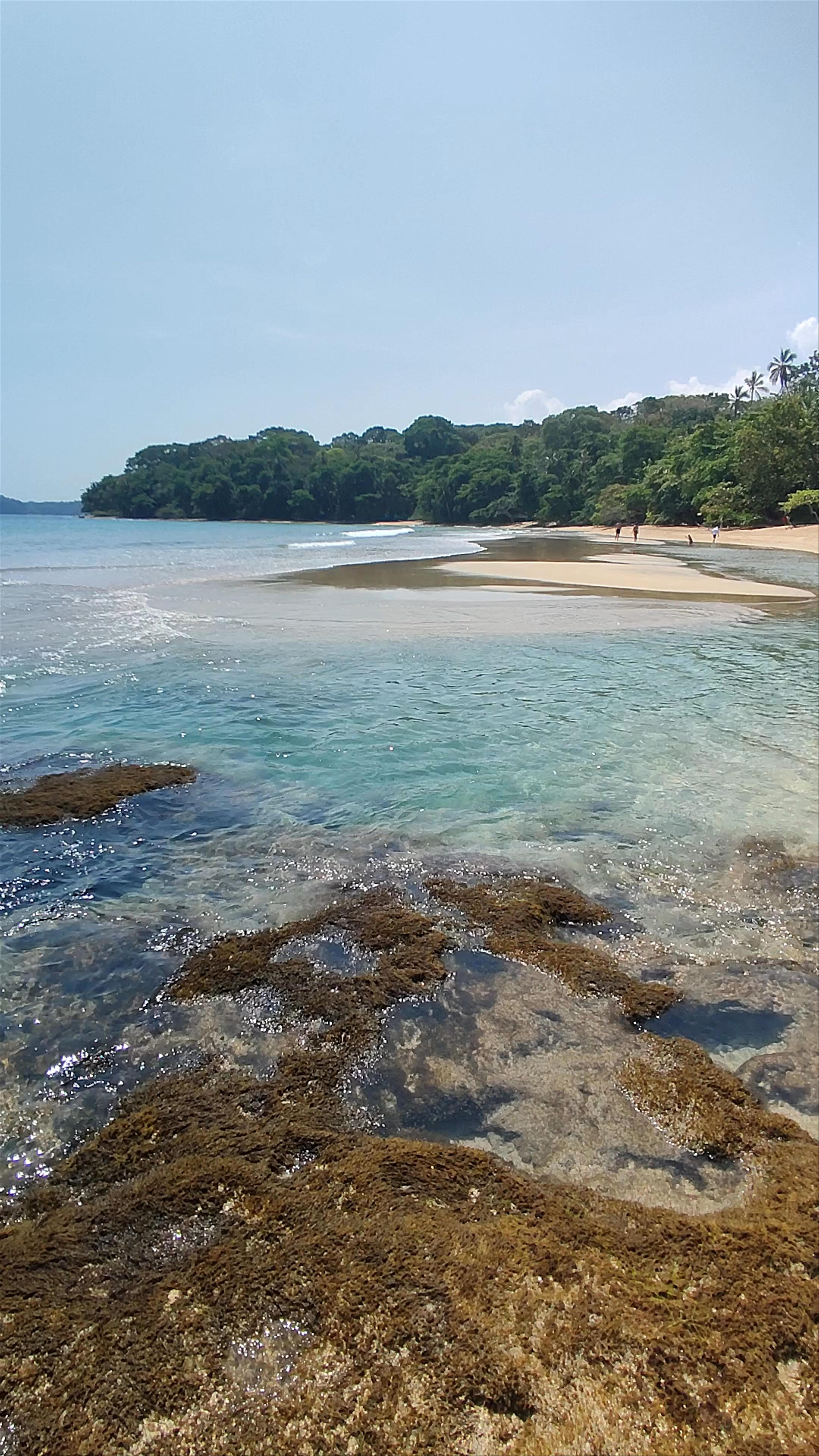 Playa Chiquita: Crystal Clear Waters and Secluded Tropical Bliss in Costa Rica