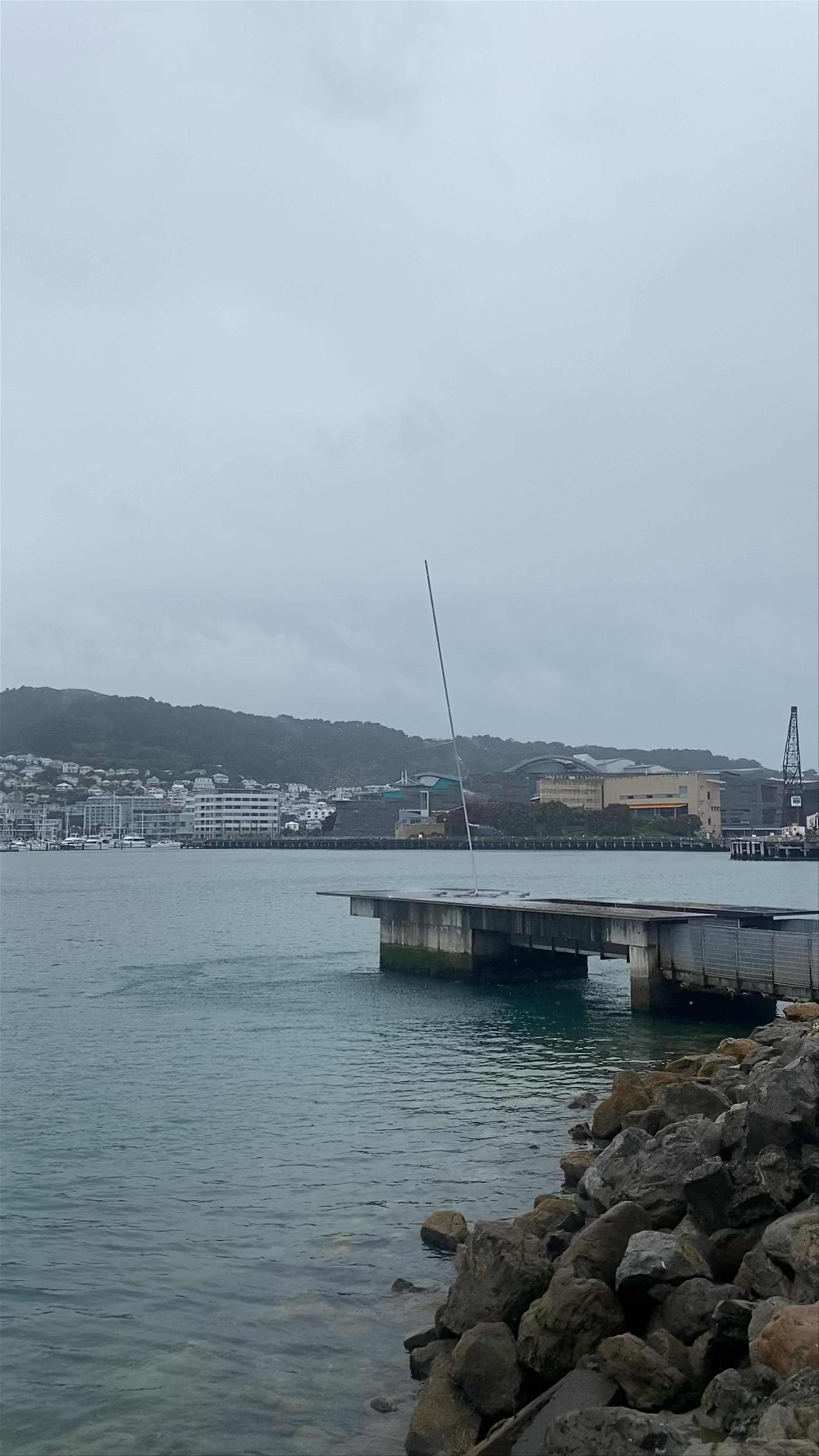 Len Lye: Water Whirler Jervois Quay
