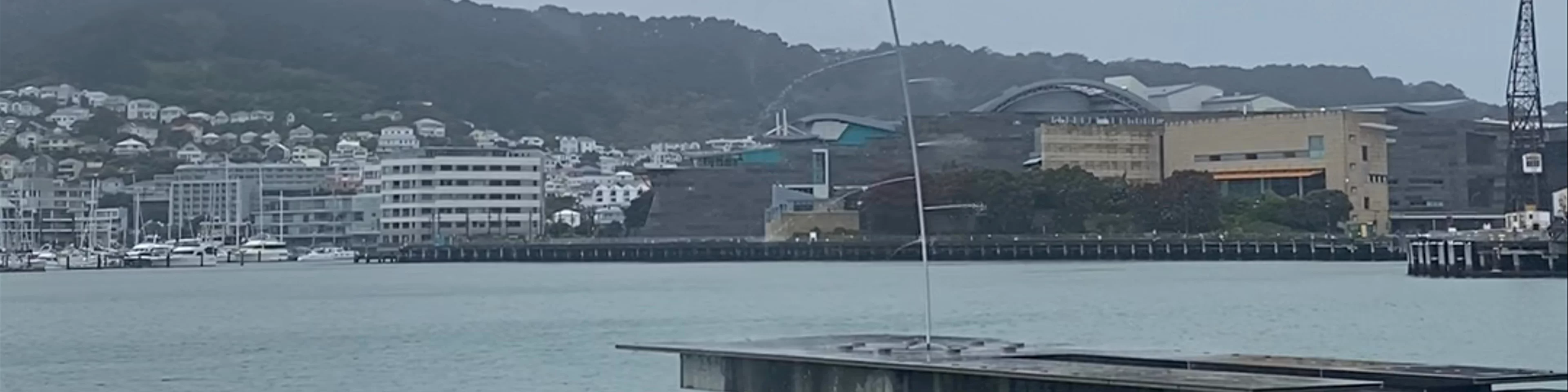 Len Lye: Water Whirler Jervois Quay