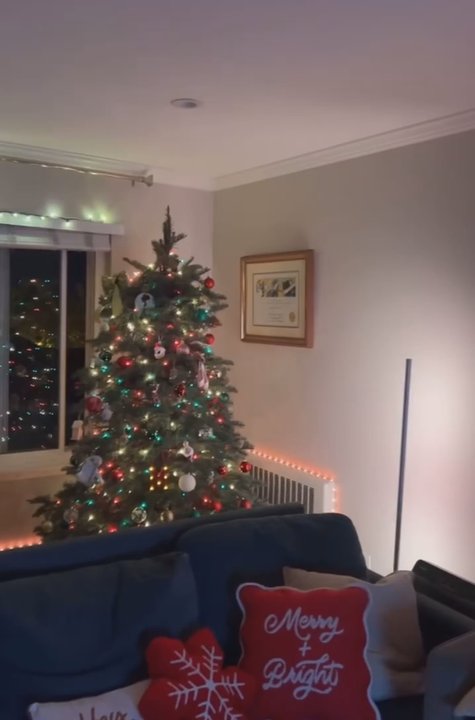 Brent's Christmas Trees - Christmas Trees Near Me - Oakland, California