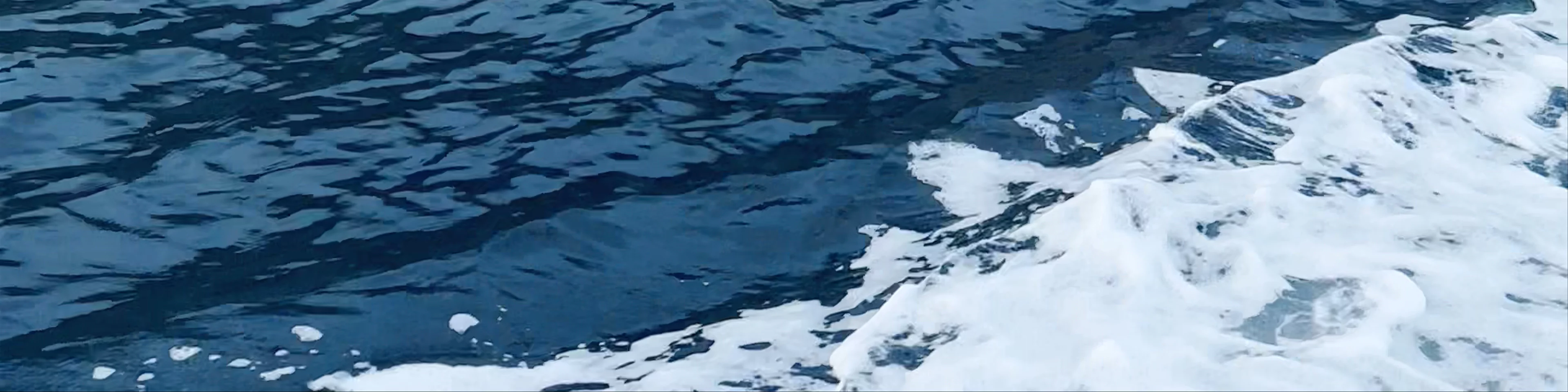 Positano Dreams on Board - Boat Tours