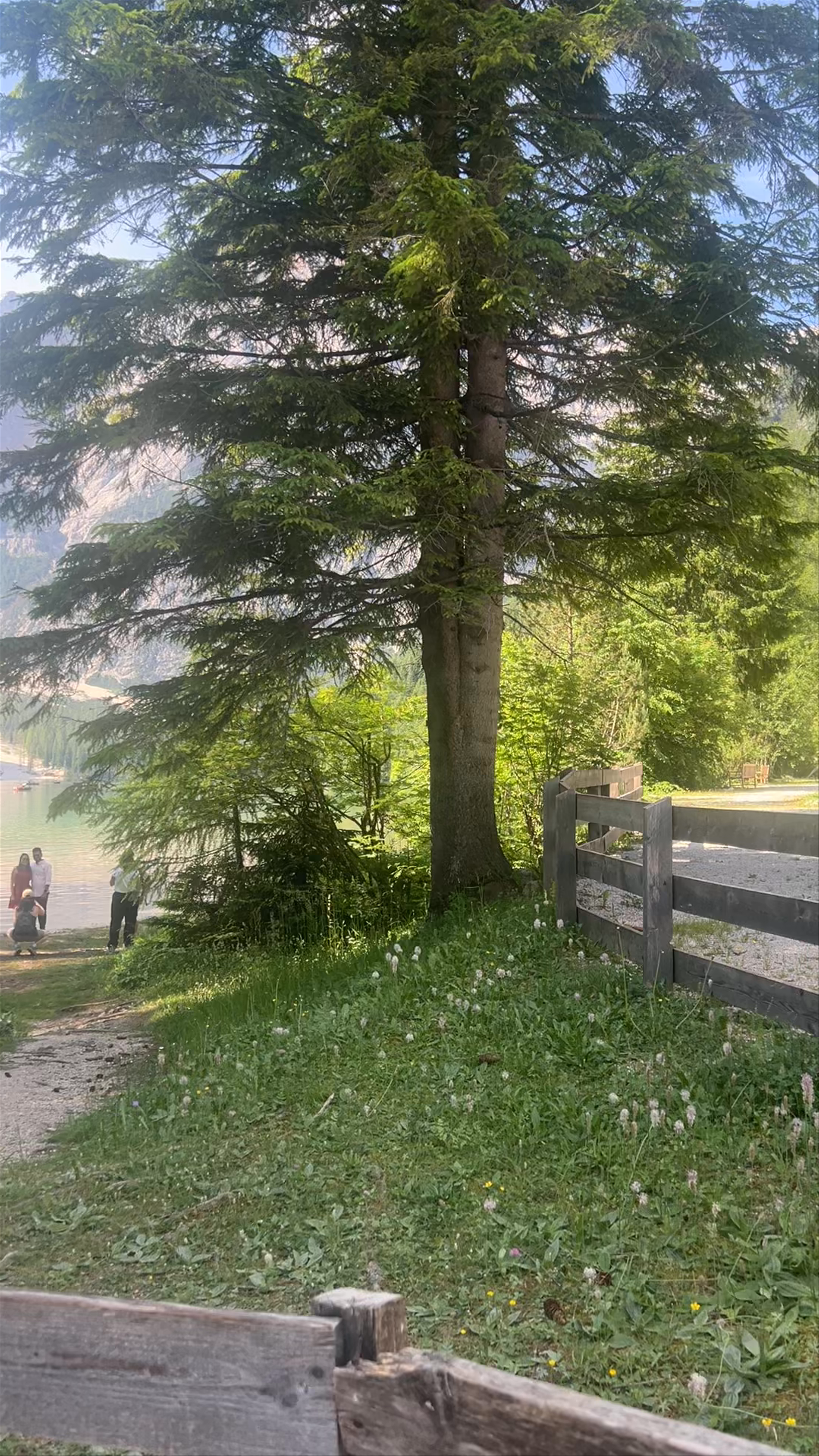 Pragser Wildsee