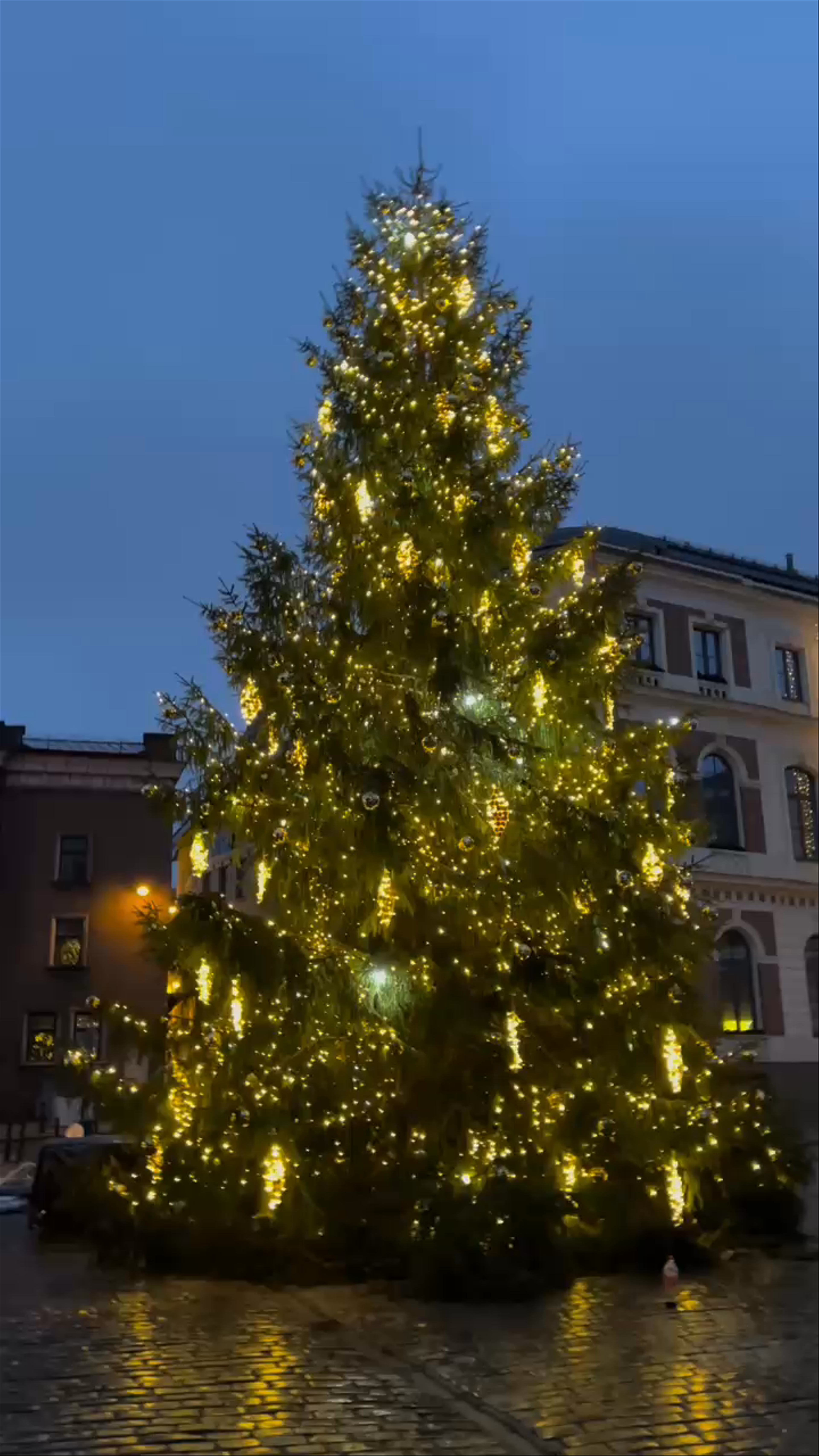 First Public Christmas Tree Lighting at Rātslaukums, Riga