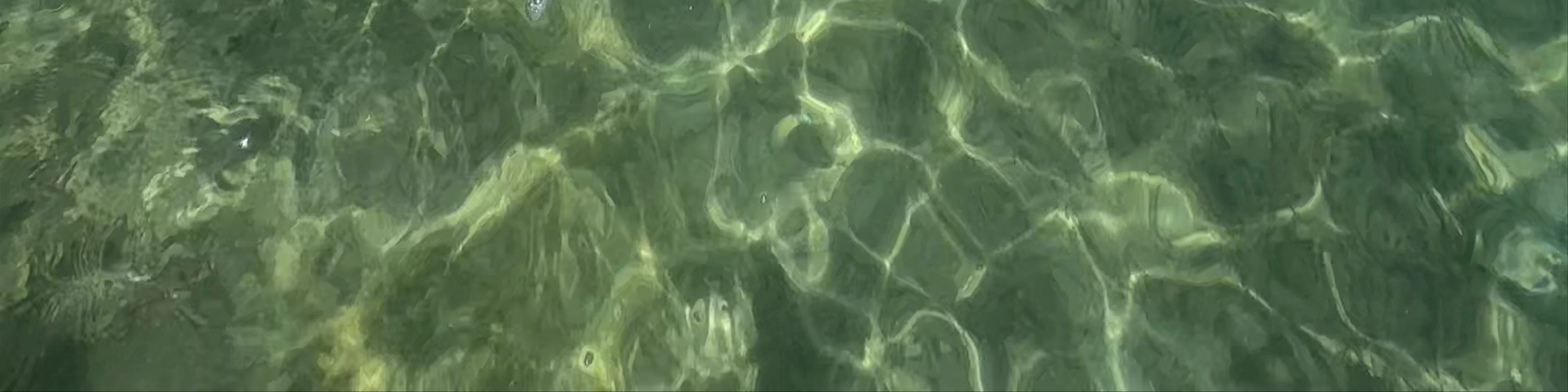 Isla Pescadito