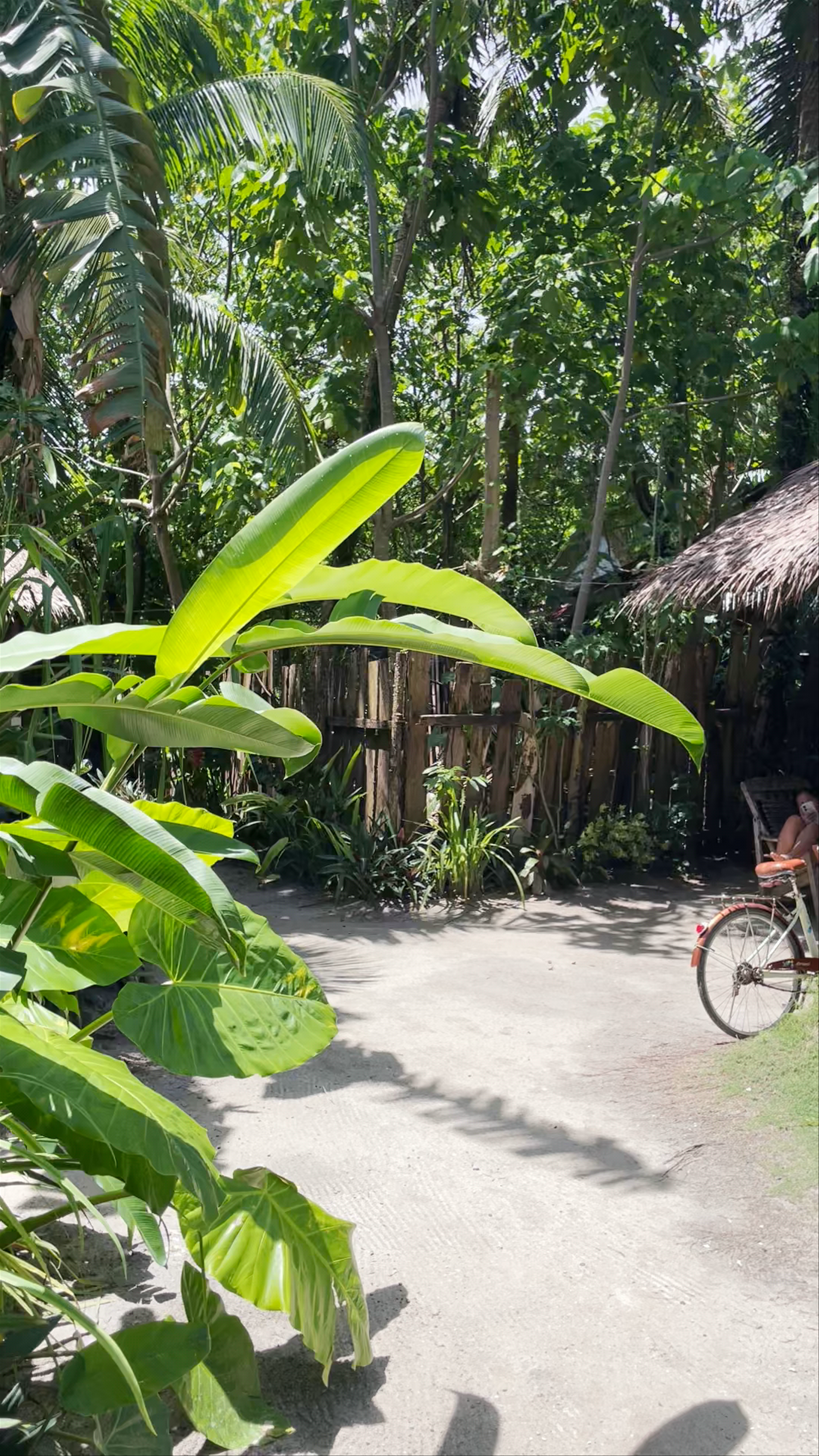 Tropical Tranquility at Dream Catcher Nipas in General Luna, Philippines