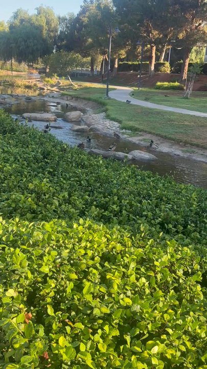 RIVERWALK PARKWAY - Updated July 2026 - 102 Photos & 28 Reviews ...