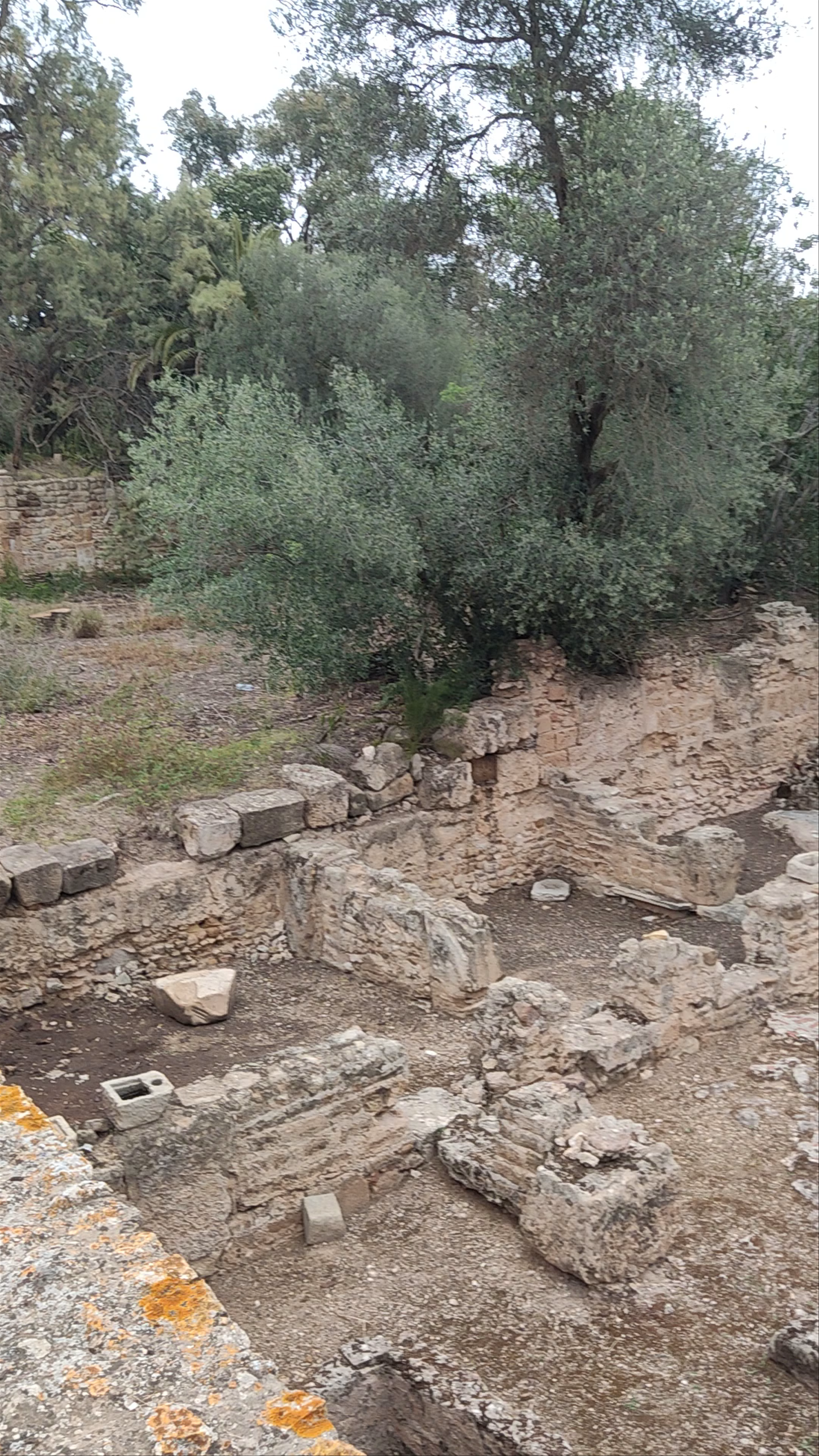 Les Ruines de Carthage