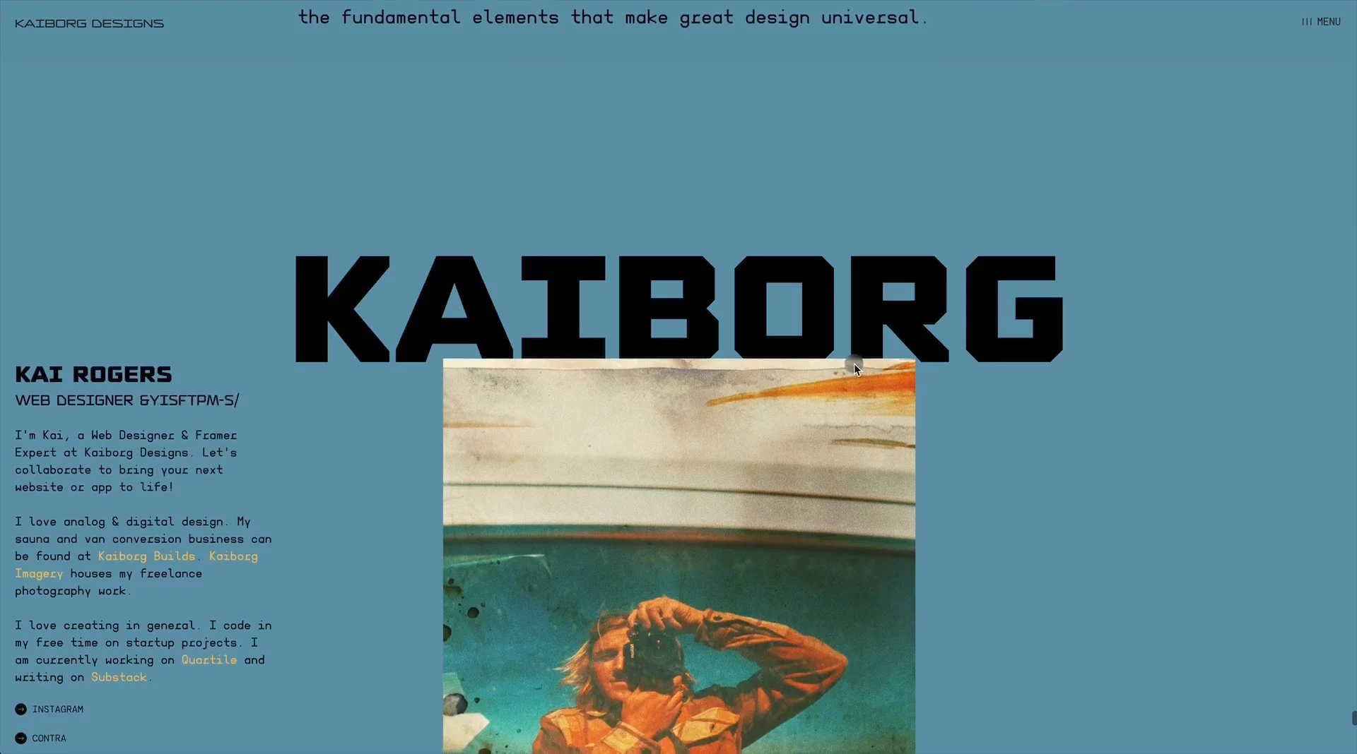 Kaiborg Designs