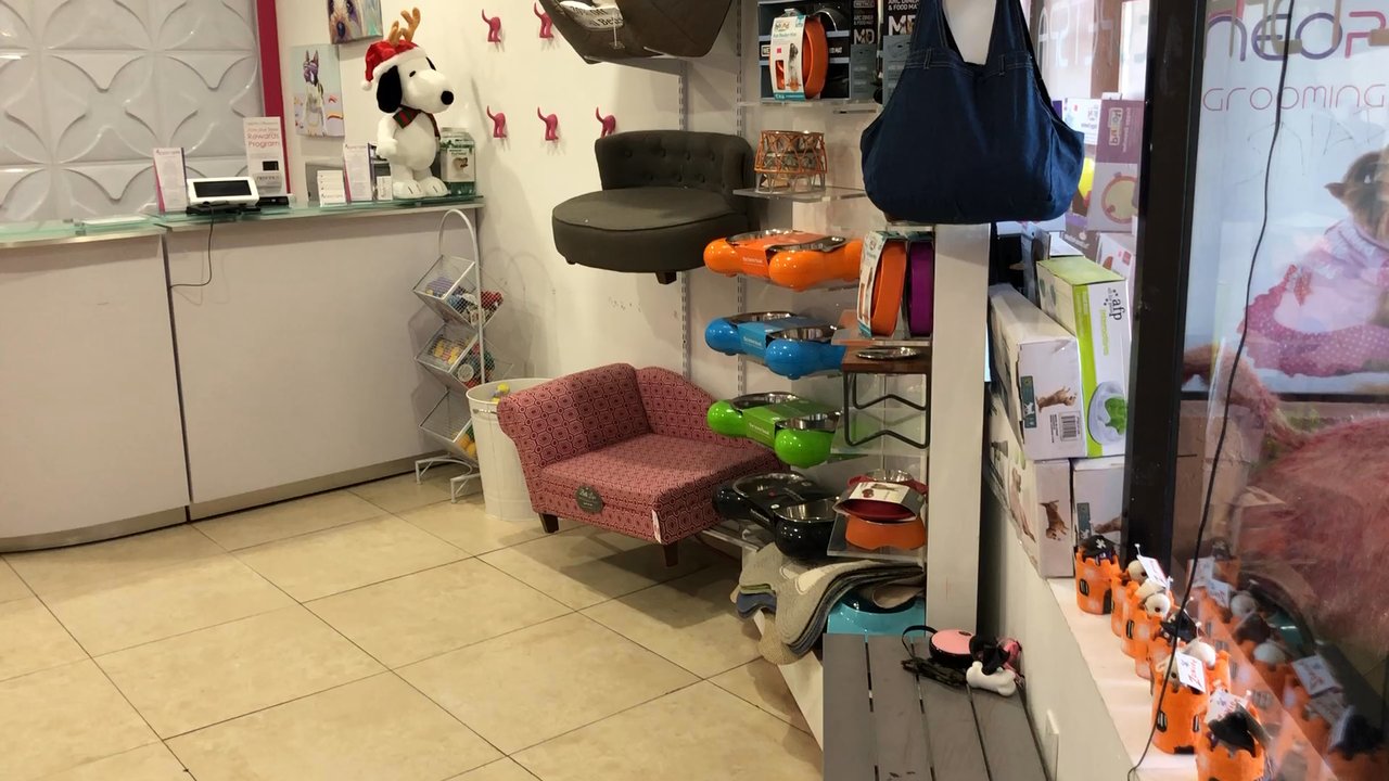 Neo Pet Spa - Store interior - Pet Groomers Near Me - Miami, Florida
