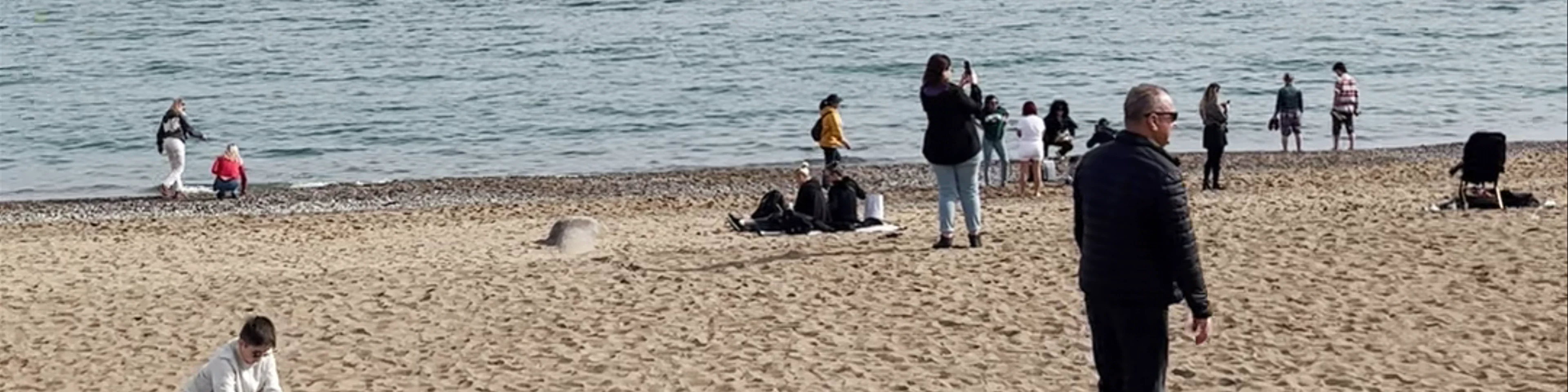 Playa Barceloneta