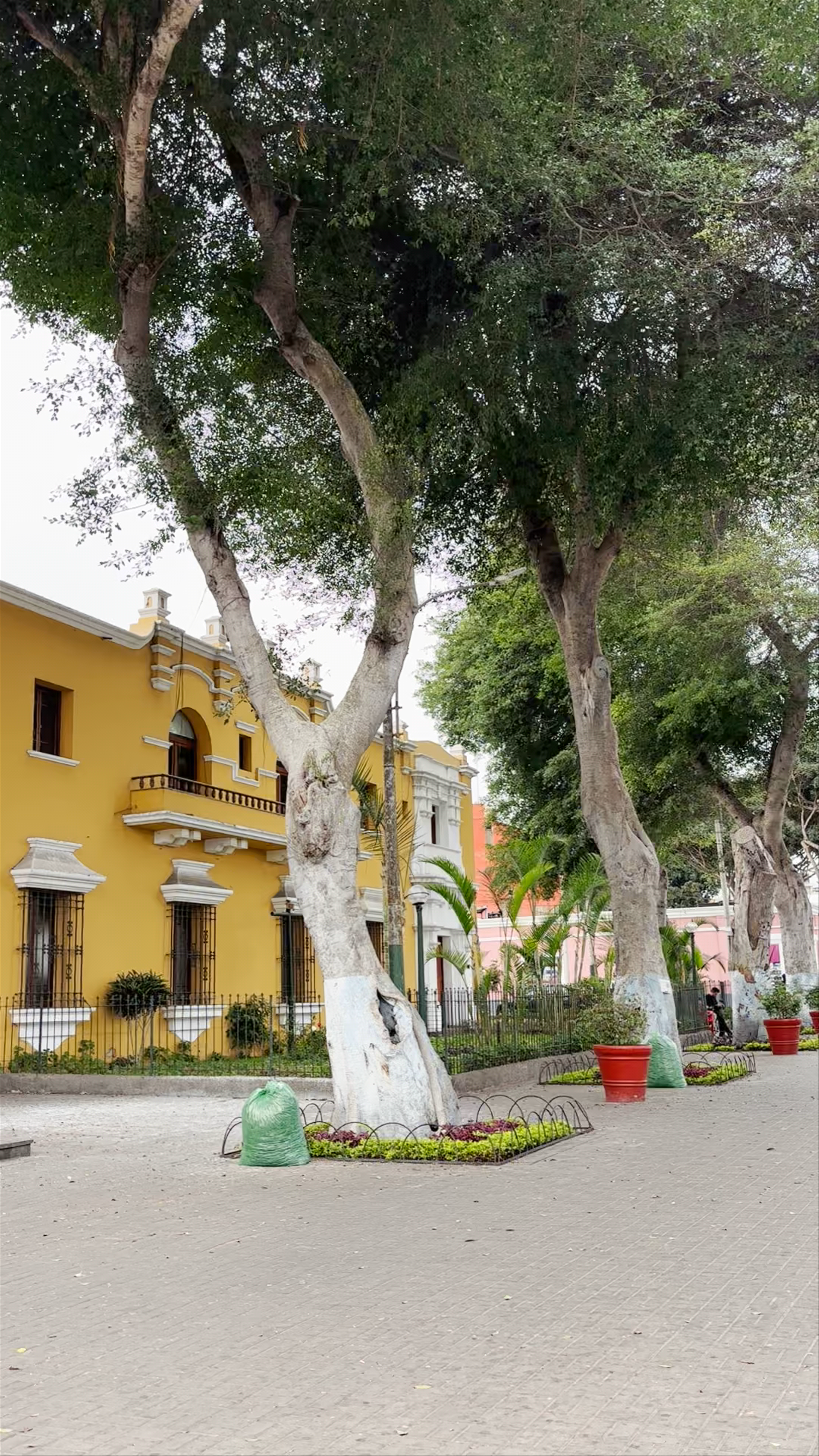 Parque Municipal de Barranco