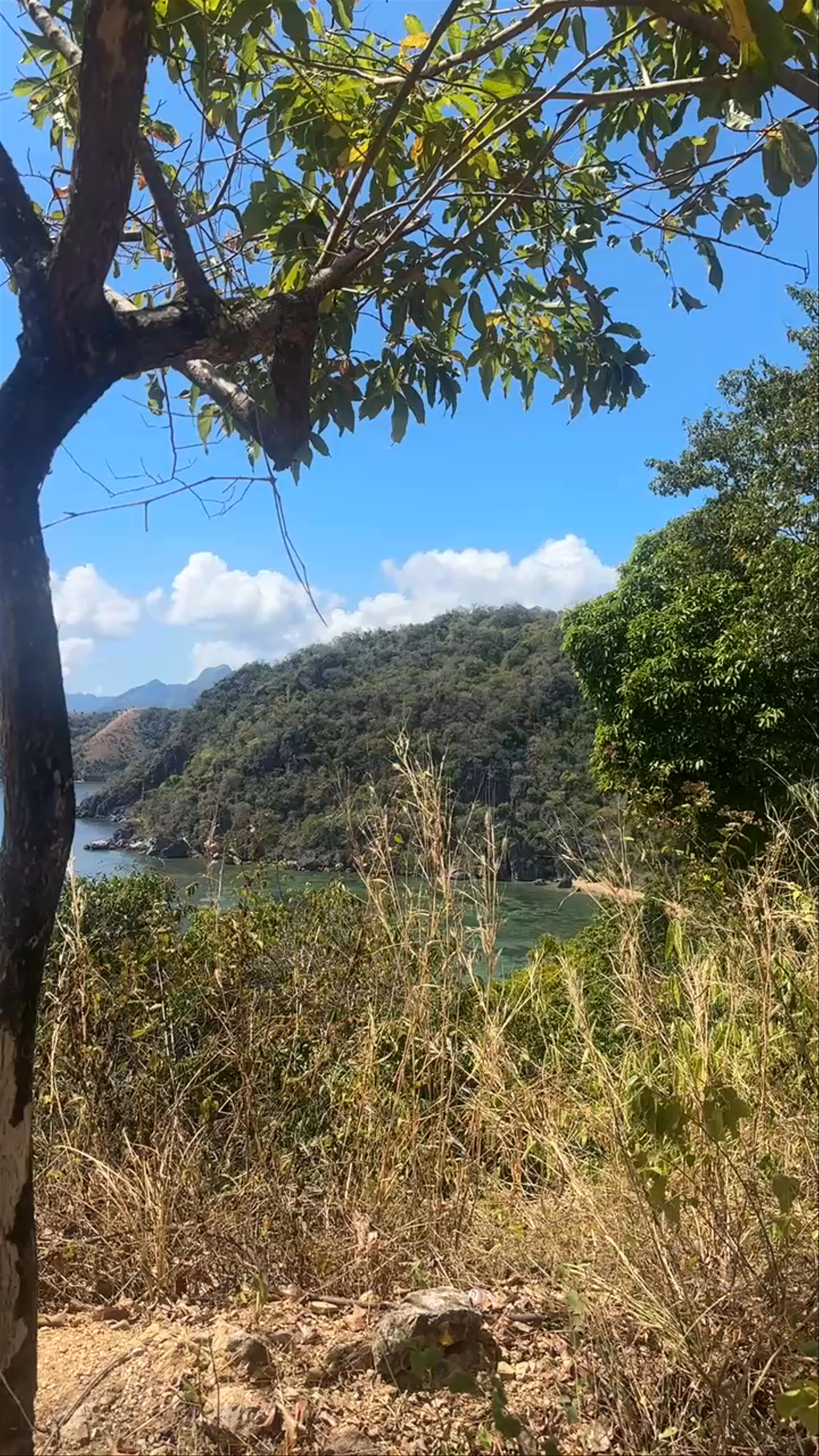 Marcilla Beach