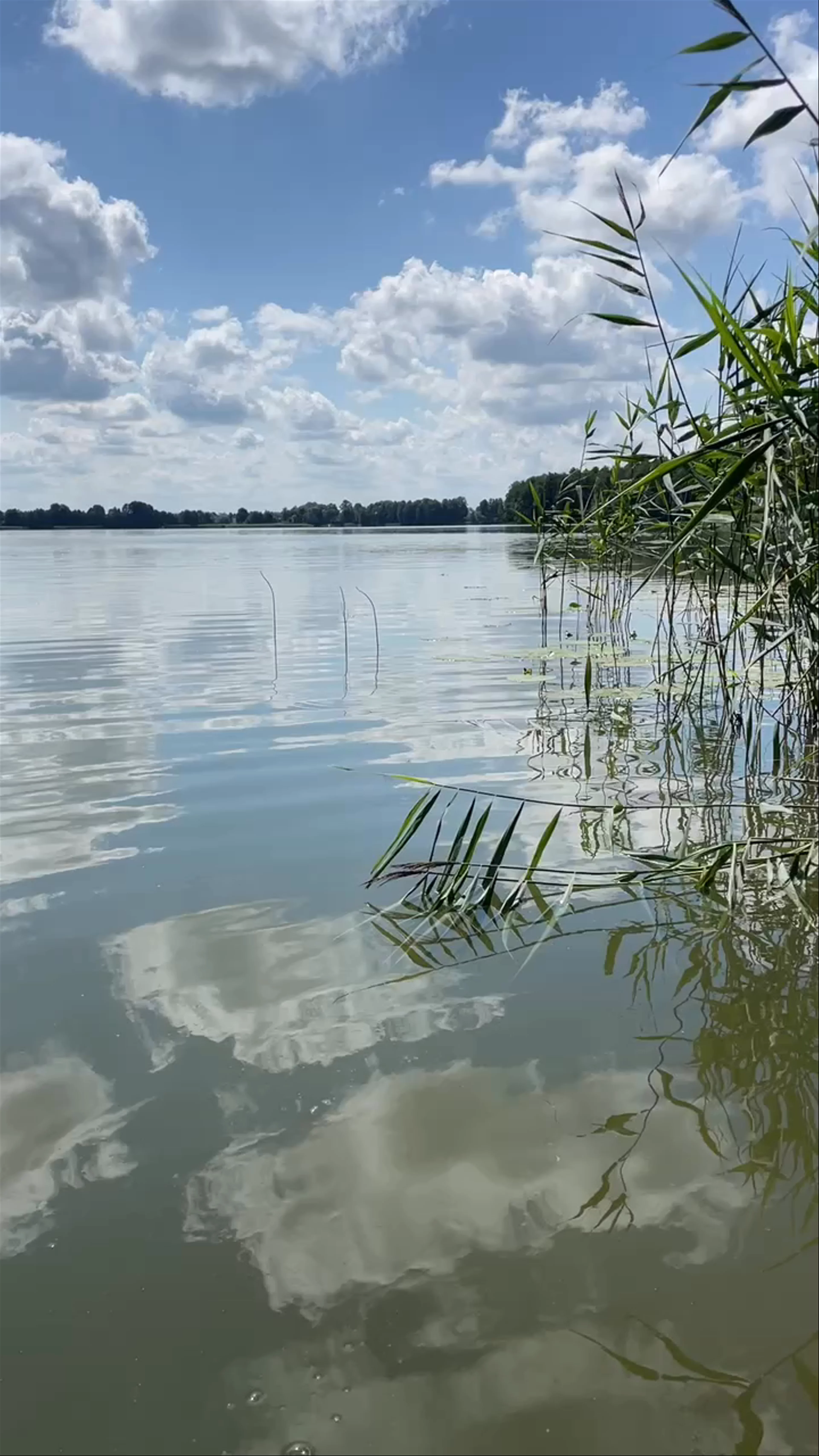 Jezioro Żywy